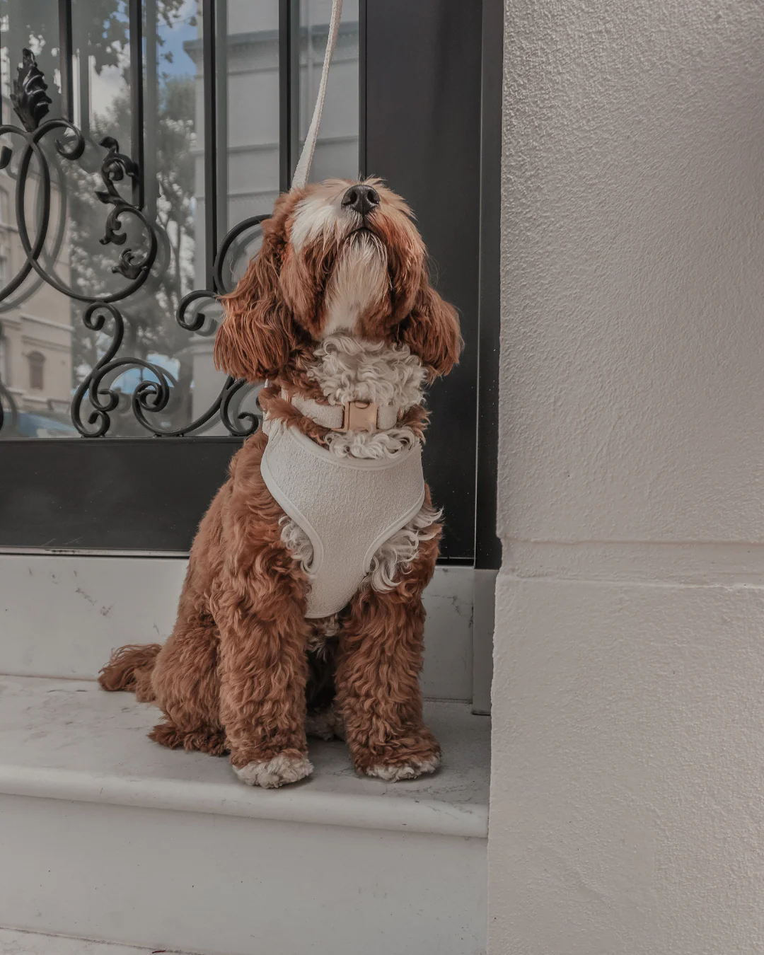 Marshmallow┃Bouclé Adjustable Harness - Image 9