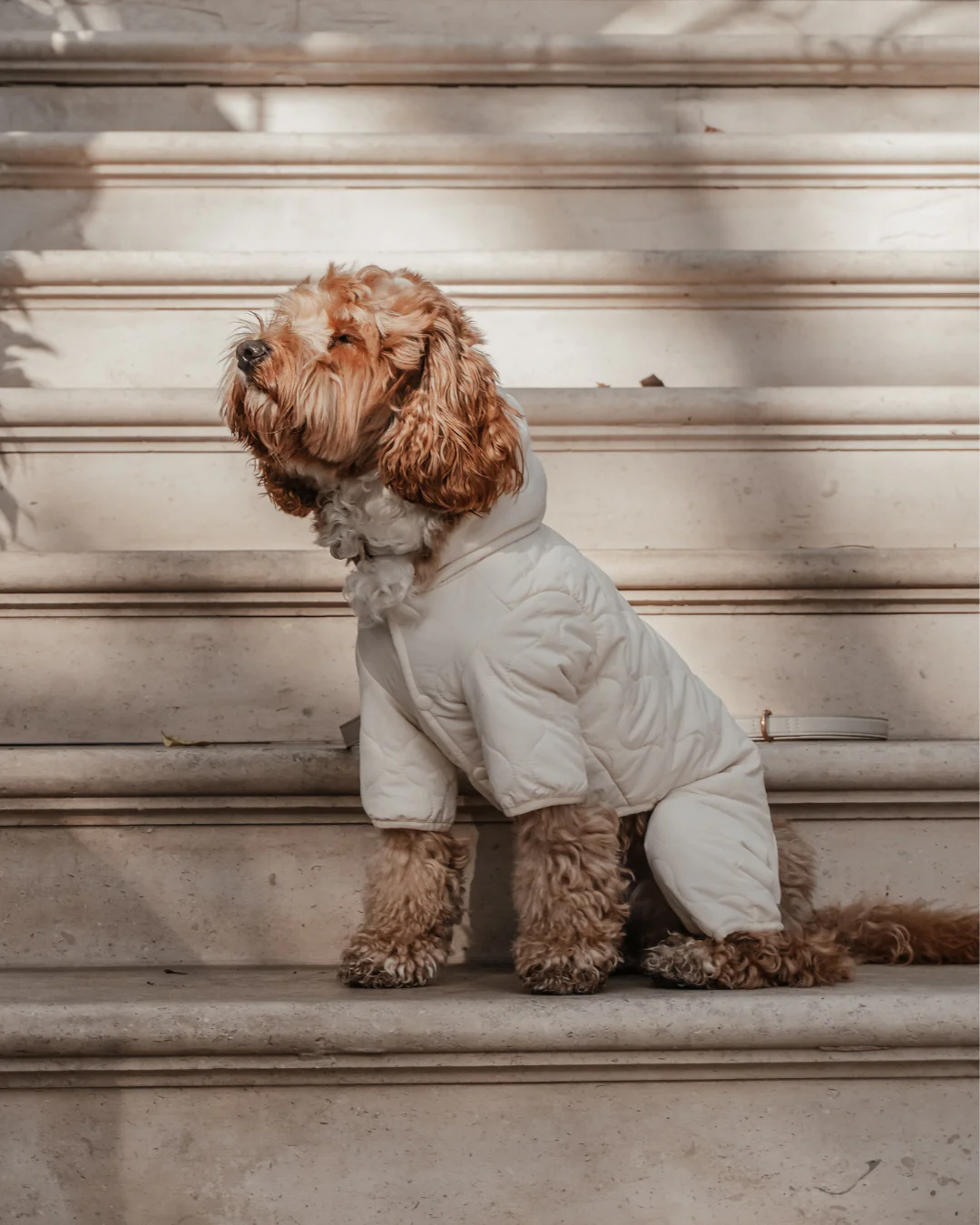 Marshmallow | The Capsule Quilted Bodysuit - Image 7