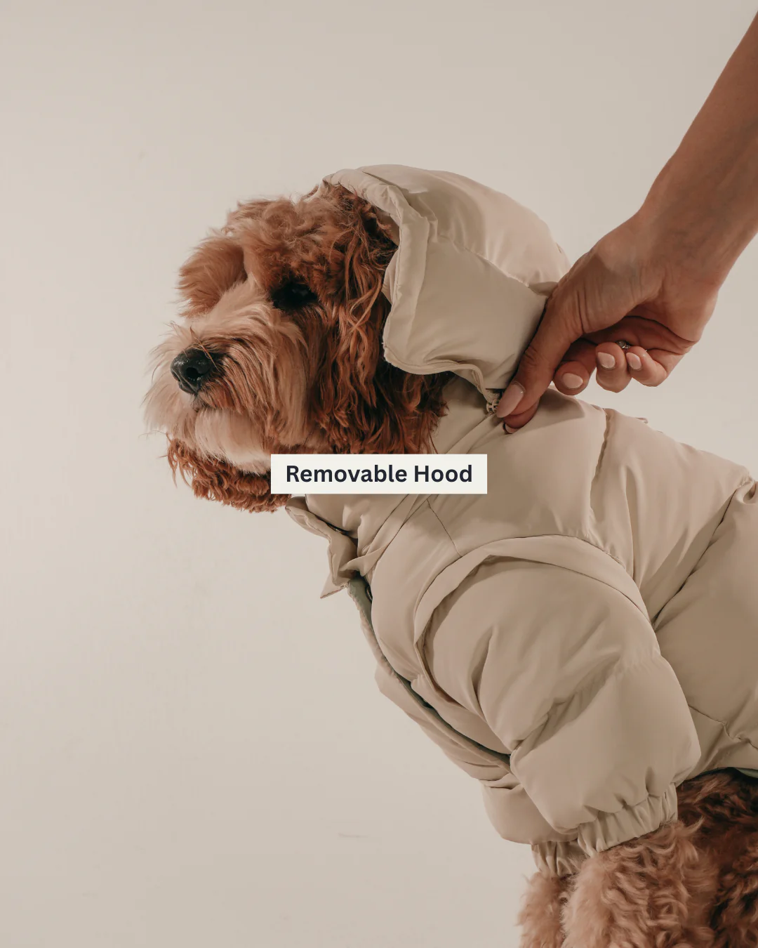 Marshmallow | The Modular Puffer - Image 3