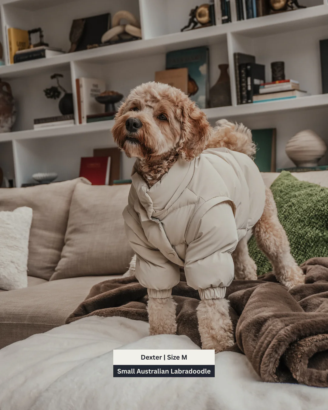 Marshmallow | The Modular Puffer - Image 6