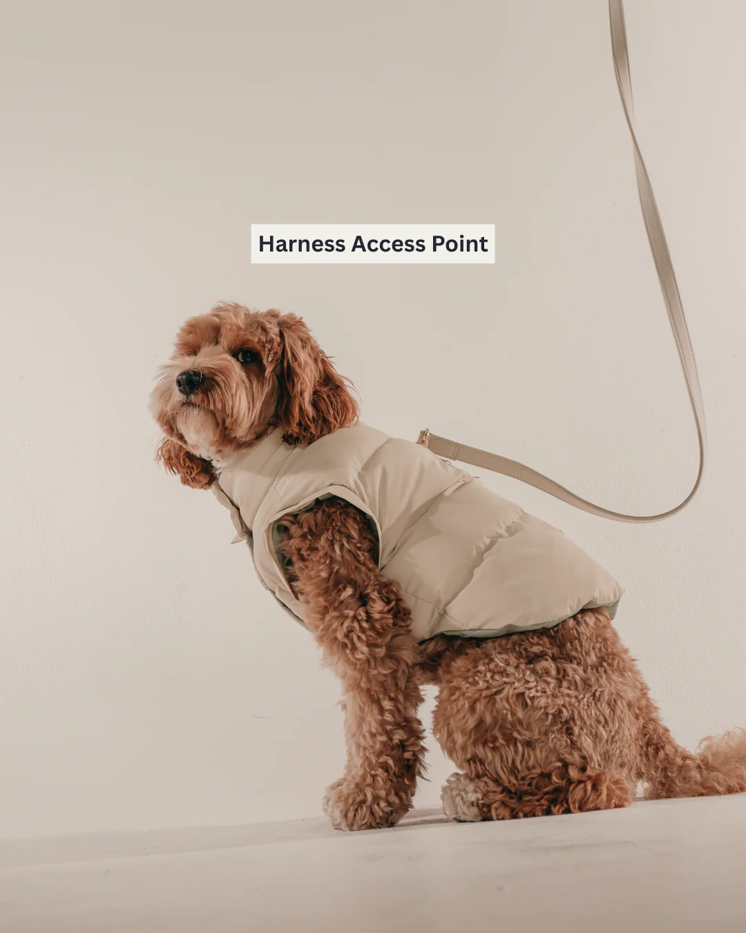 Marshmallow | The Modular Puffer - Image 9