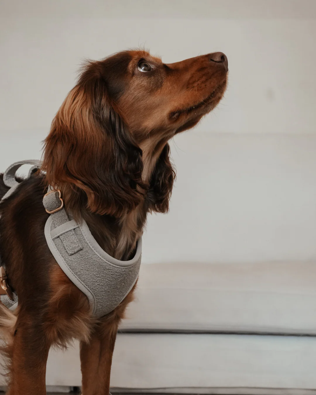 Matcha┃Bouclé Adjustable Harness - Image 10