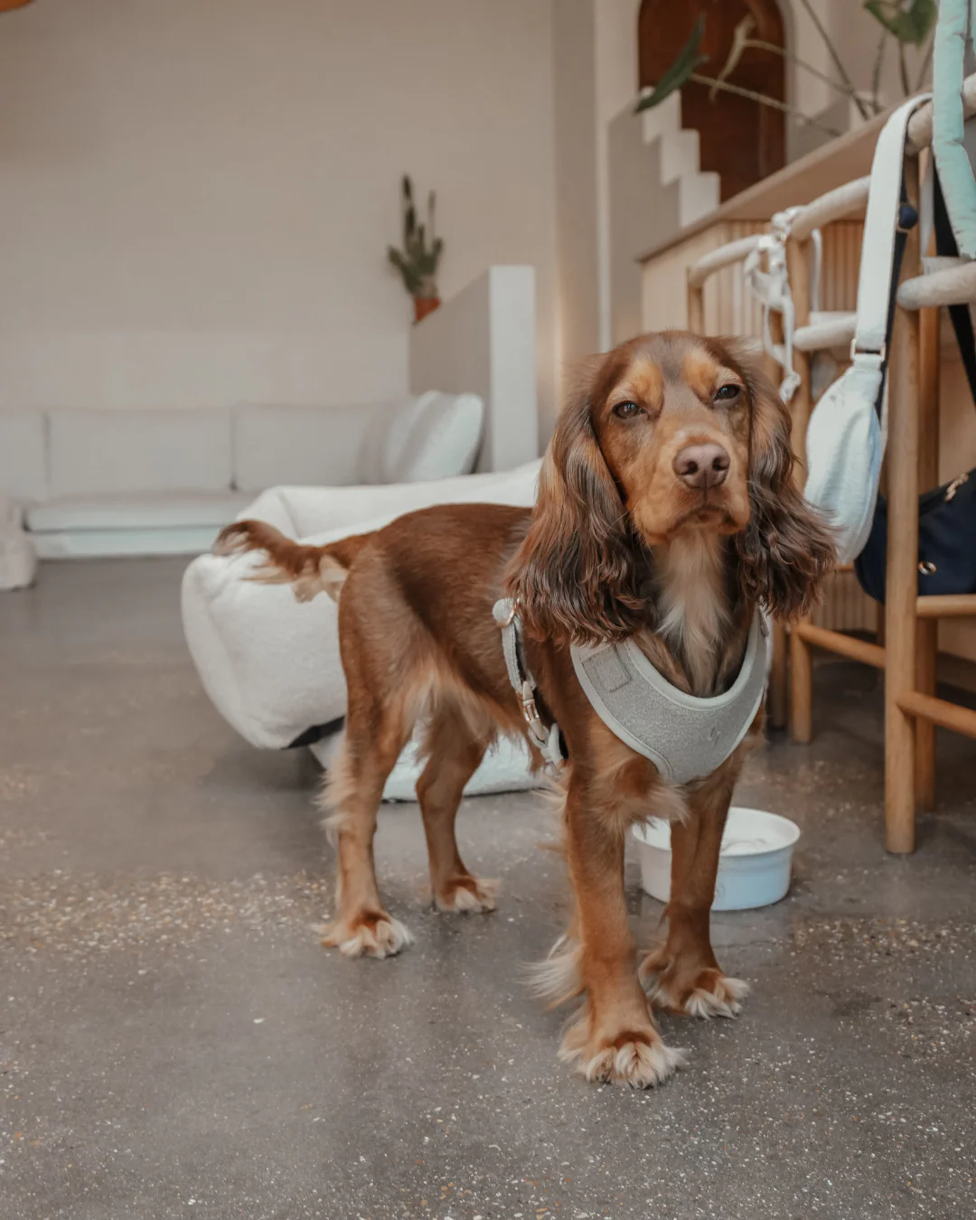 Matcha┃Bouclé Adjustable Harness - Image 14