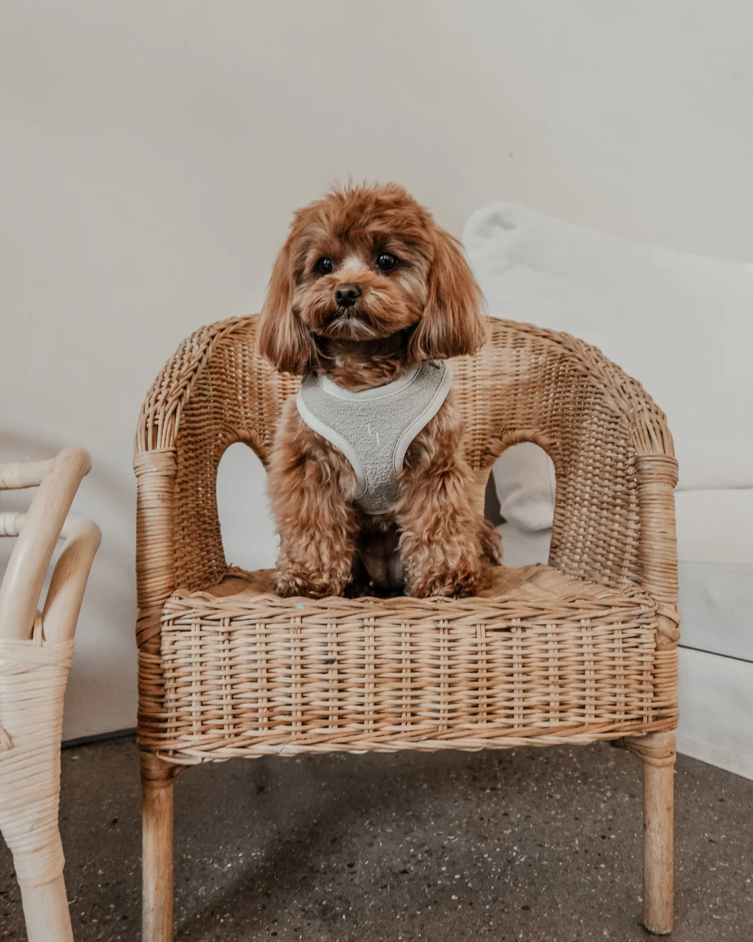 Matcha┃Bouclé Adjustable Harness - Image 3