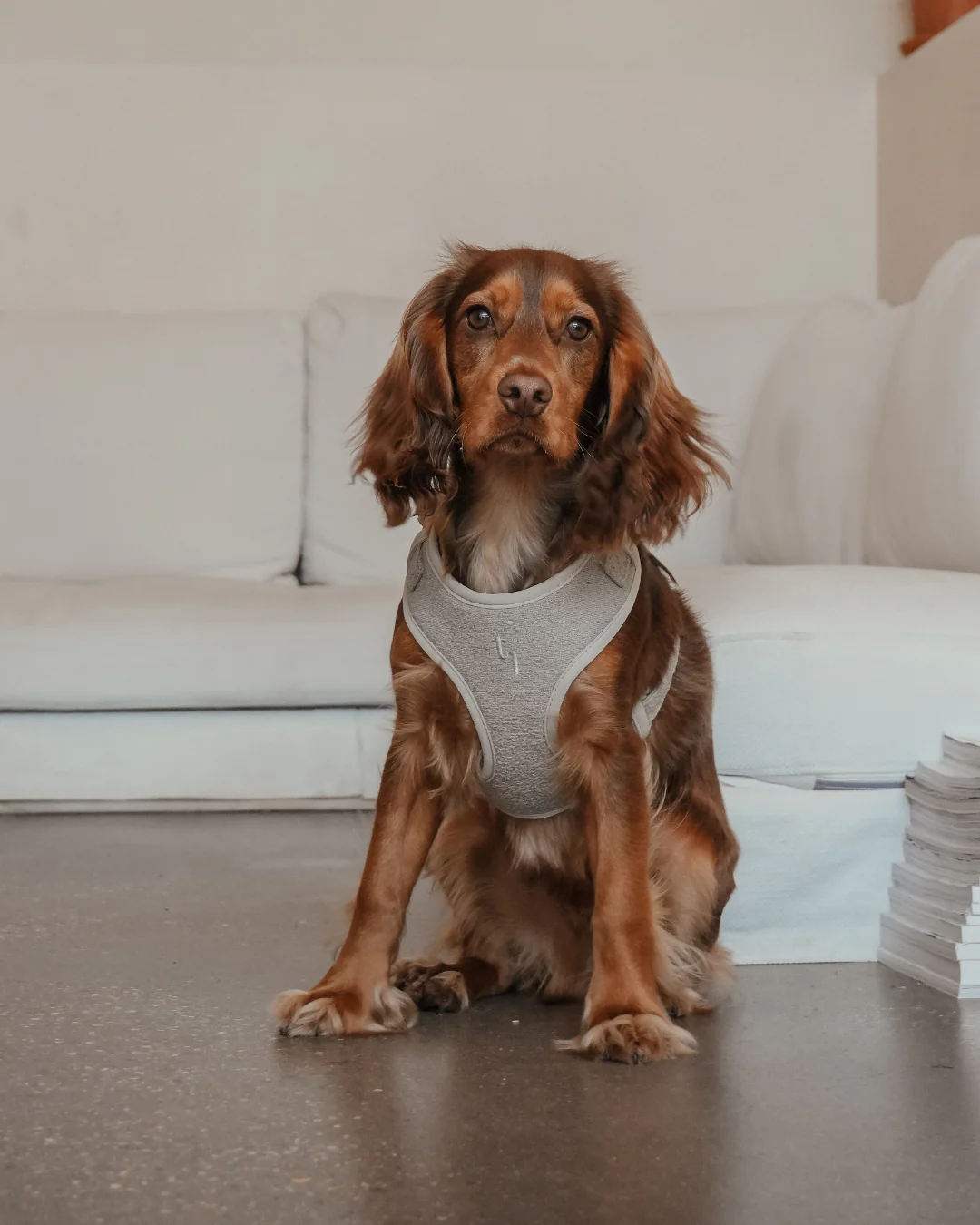 Matcha┃Bouclé Adjustable Harness - Image 4