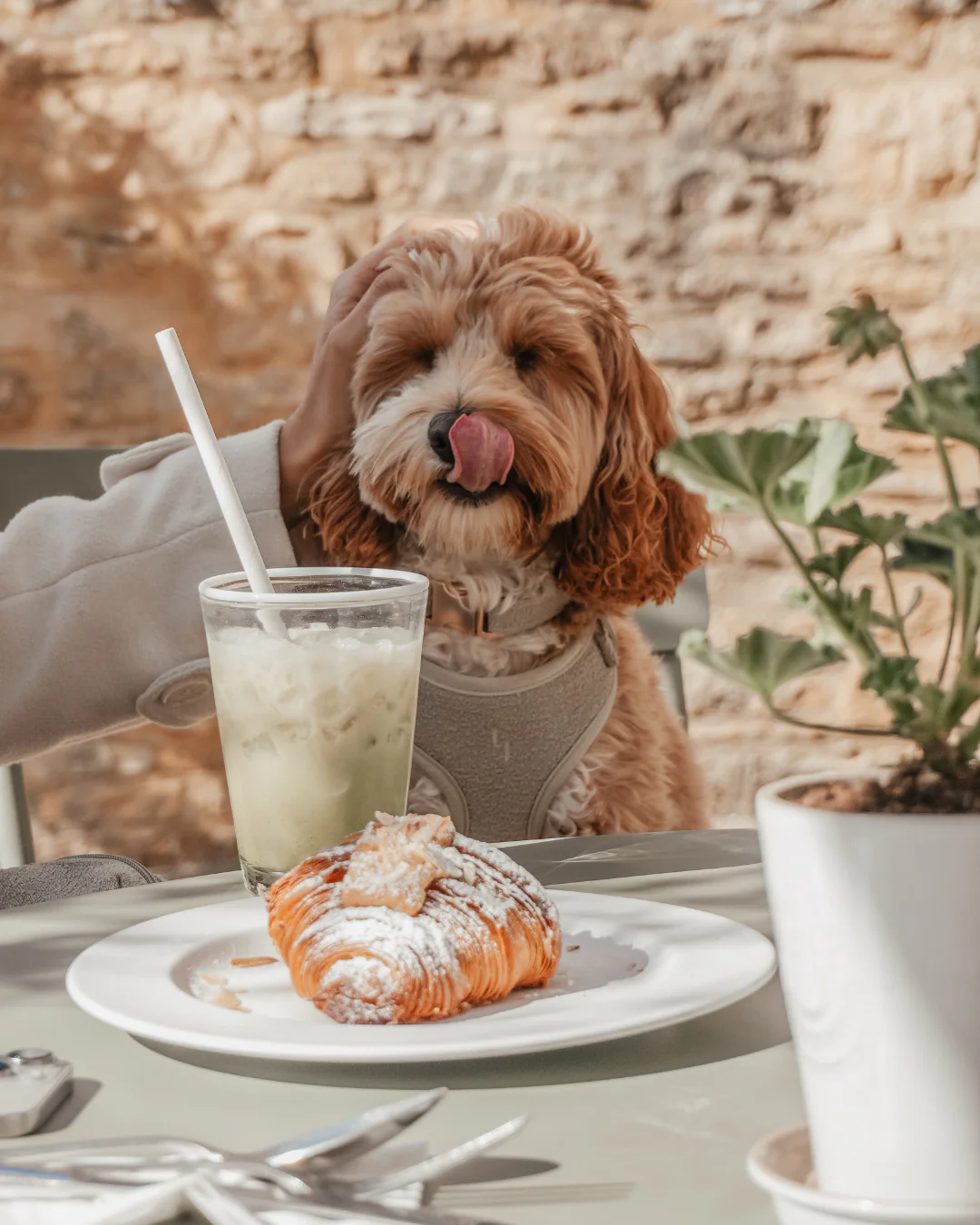 Matcha┃Bouclé Adjustable Harness - Image 5