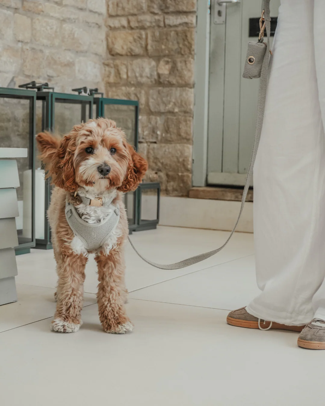 Matcha┃Bouclé Adjustable Harness - Image 6