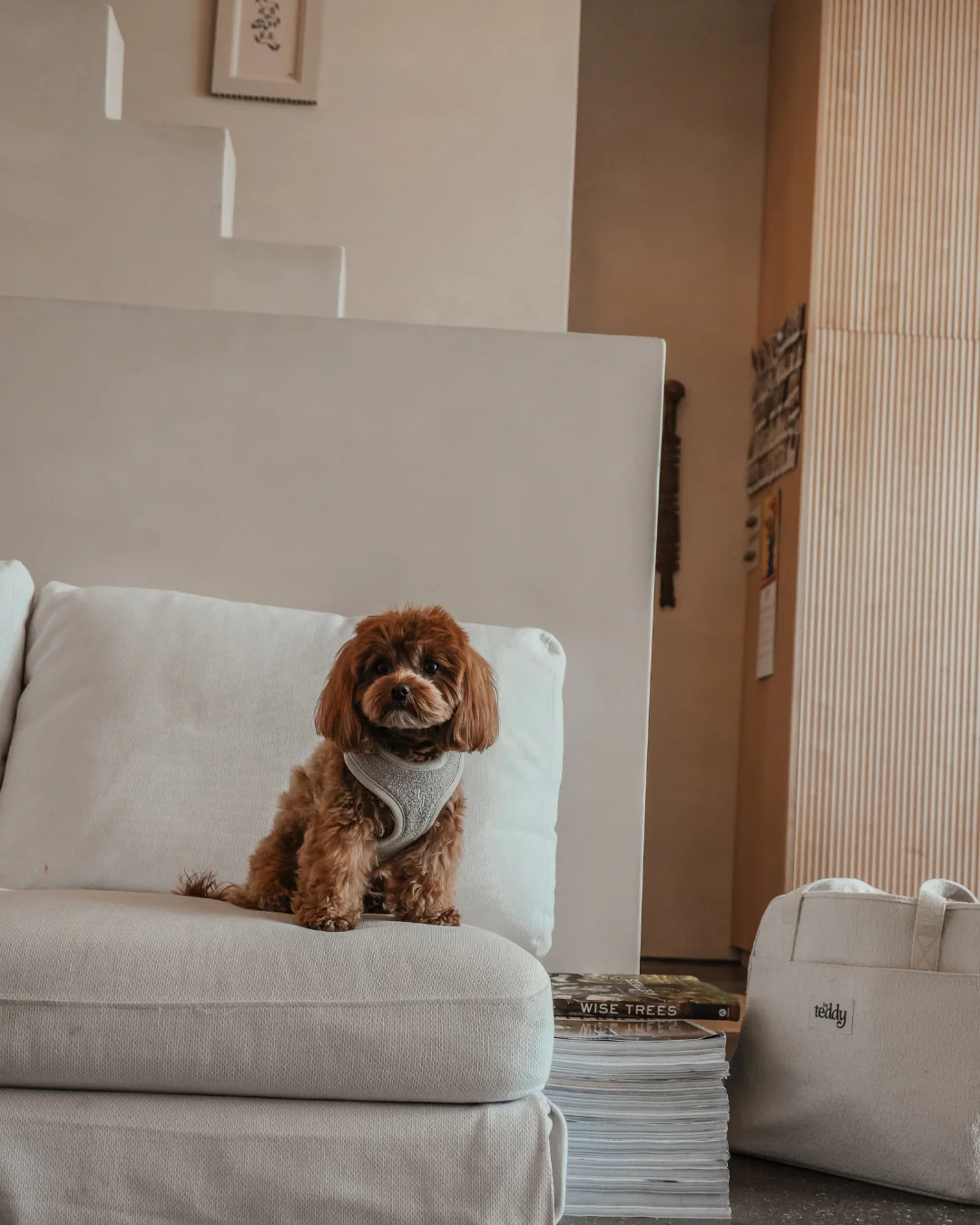 Matcha┃Bouclé Adjustable Harness - Image 7