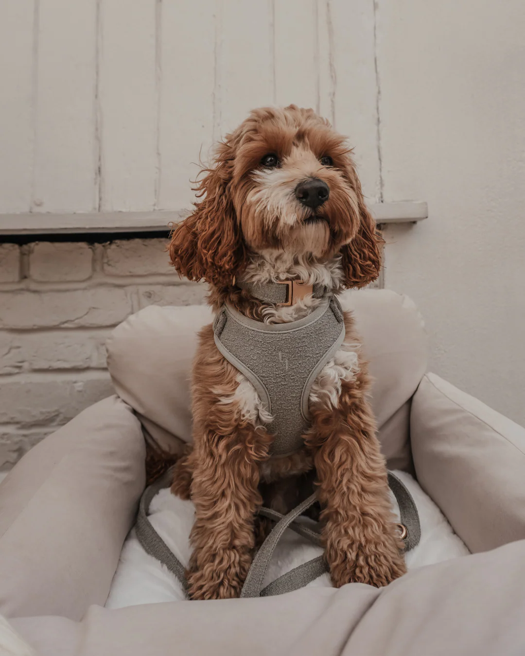 Matcha┃Bouclé Adjustable Harness - Image 8