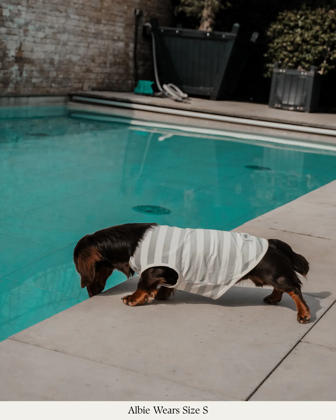 Matcha Stripe | Summer Breeze Cooling Vest - Image 10