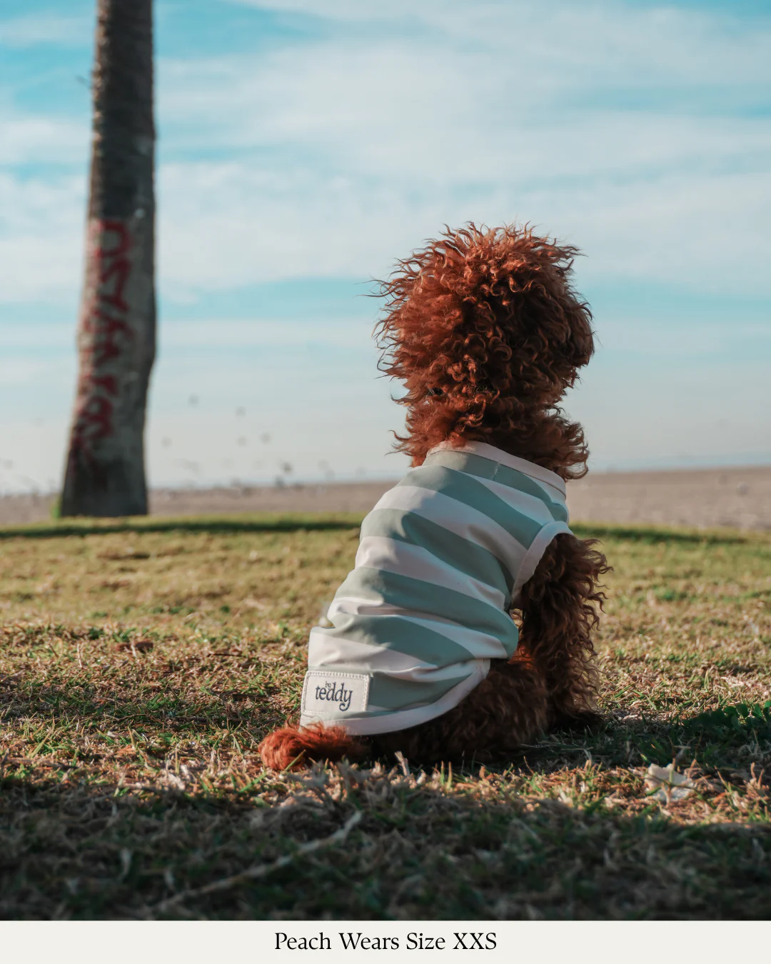 Matcha Stripe | Summer Breeze Cooling Vest - Image 12