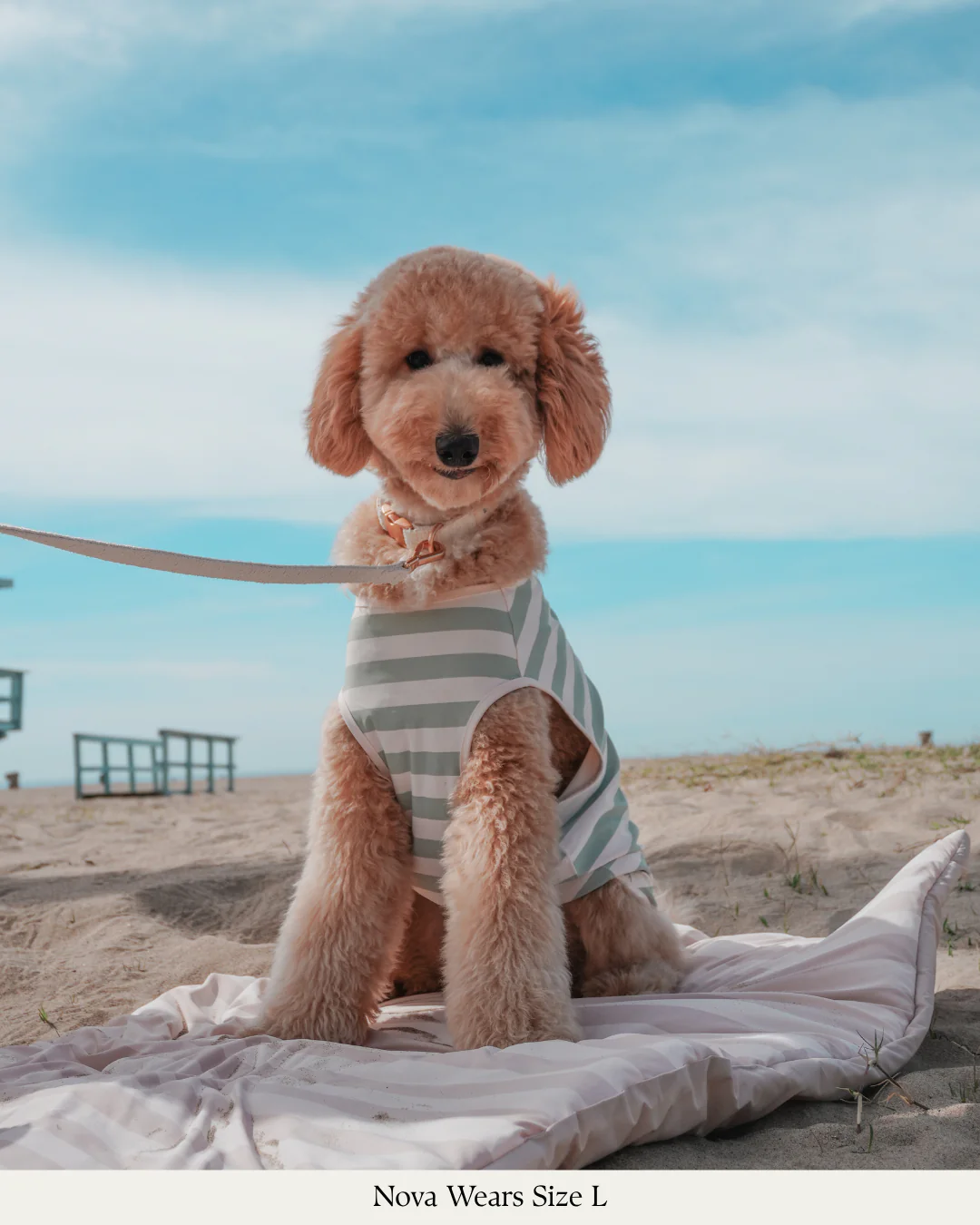 Matcha Stripe | Summer Breeze Cooling Vest - Image 3