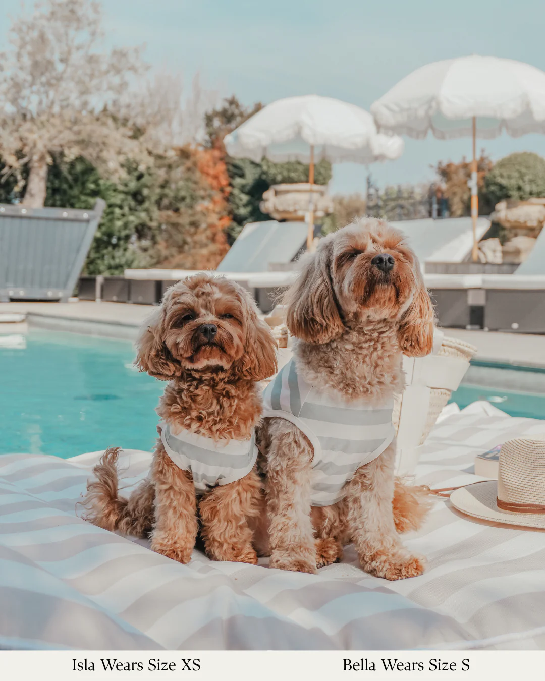 Matcha Stripe | Summer Breeze Cooling Vest - Image 4