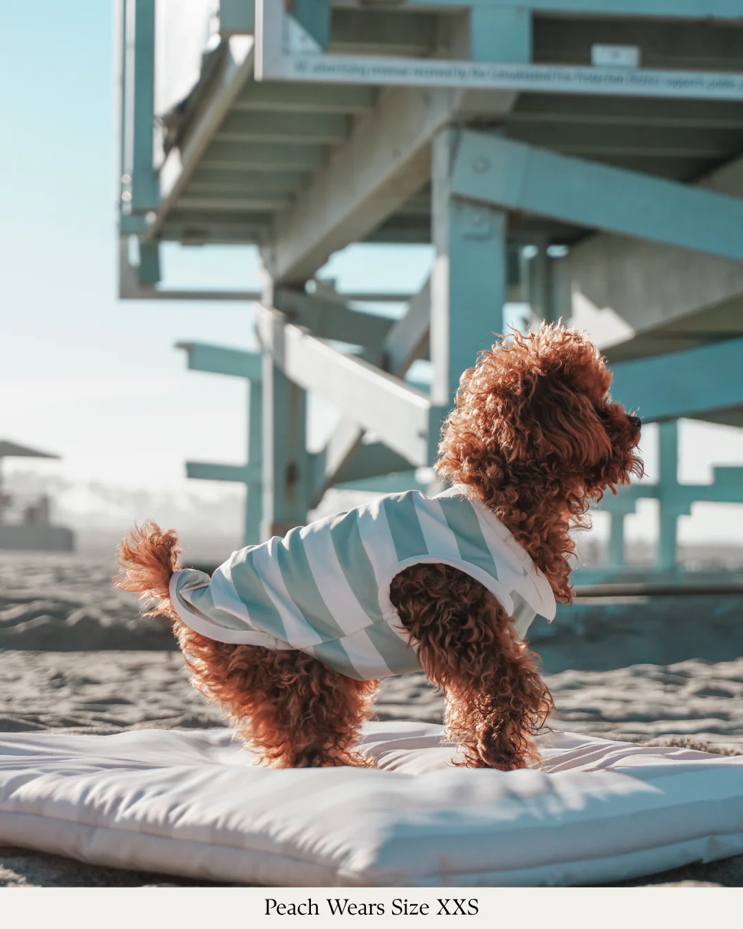 Matcha Stripe | Summer Breeze Cooling Vest - Image 5
