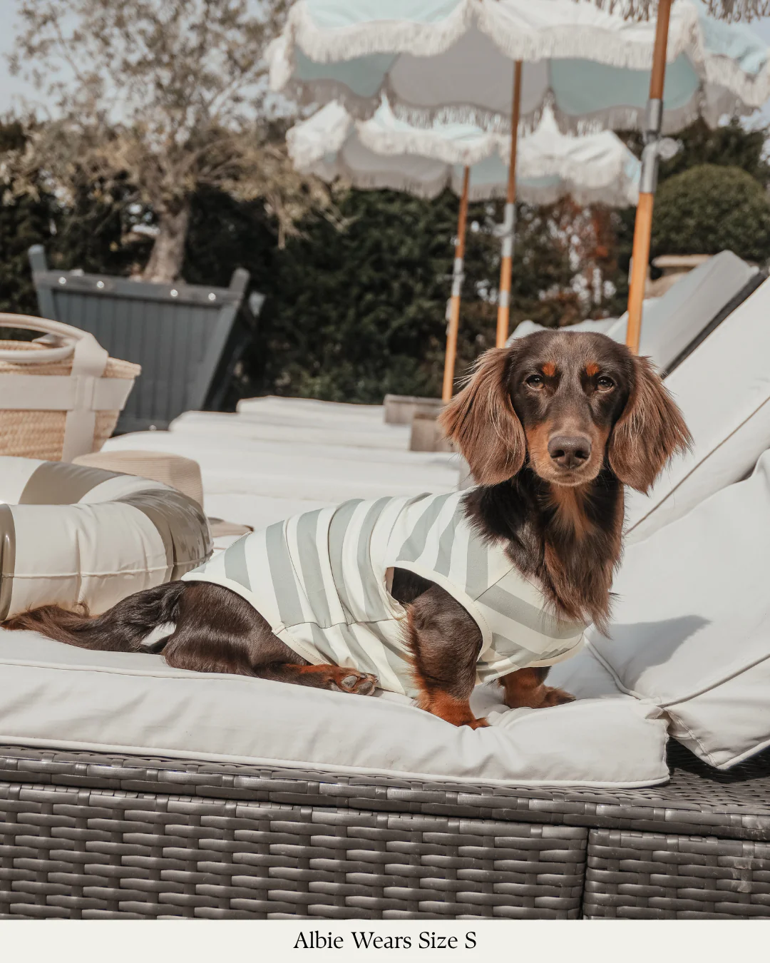 Matcha Stripe | Summer Breeze Cooling Vest - Image 6