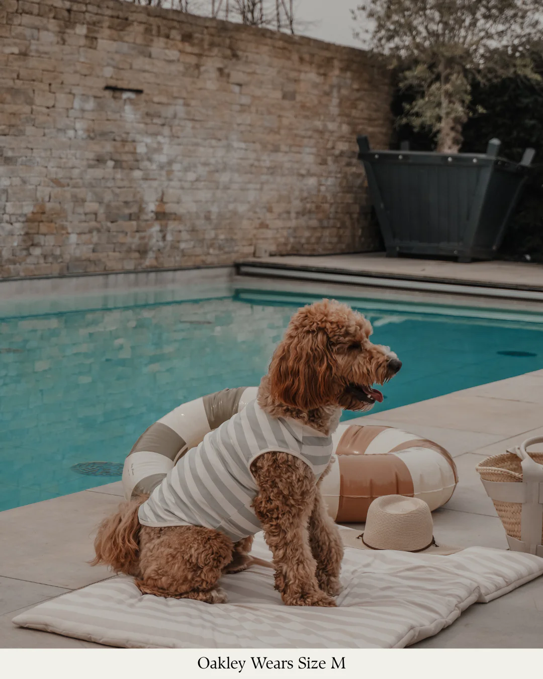 Matcha Stripe | Summer Breeze Cooling Vest - Image 7