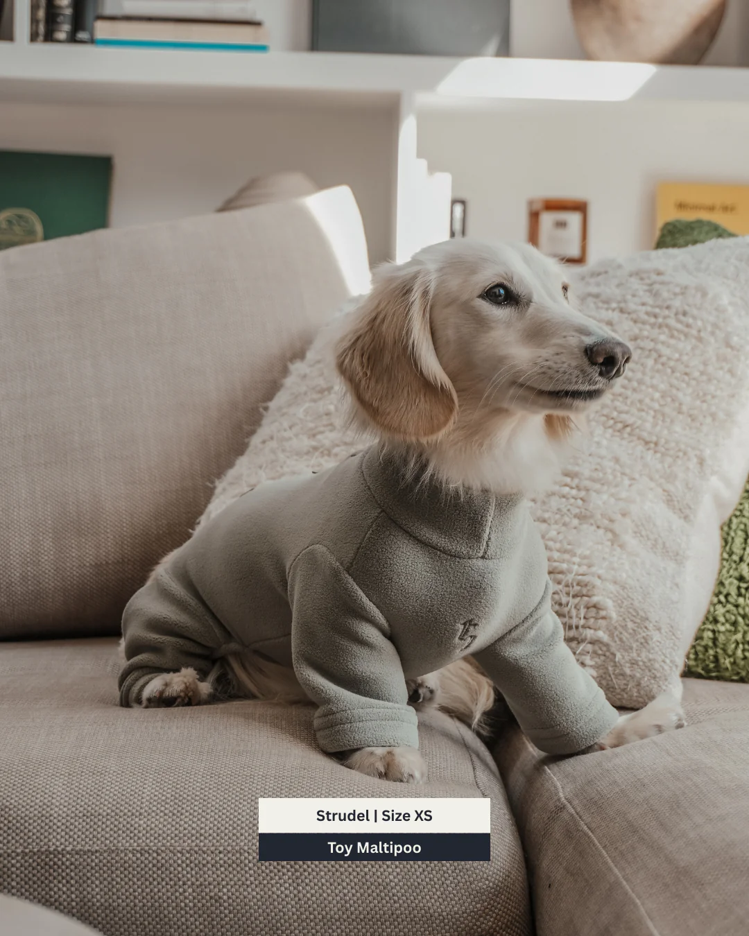 Matcha | The Capsule Fleece Bodysuit - Image 9