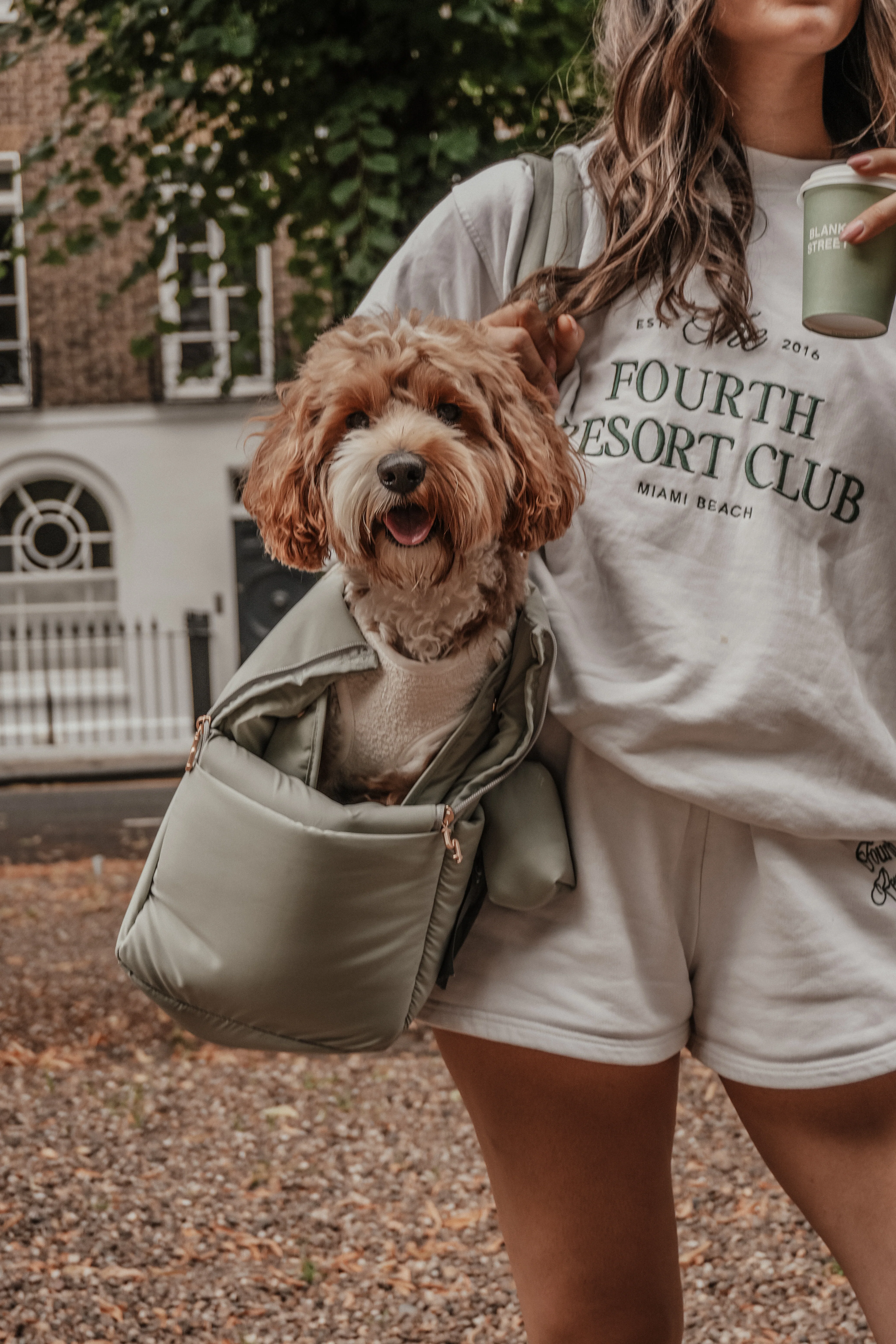 Matcha┃The Puffer Carrier - Image 15