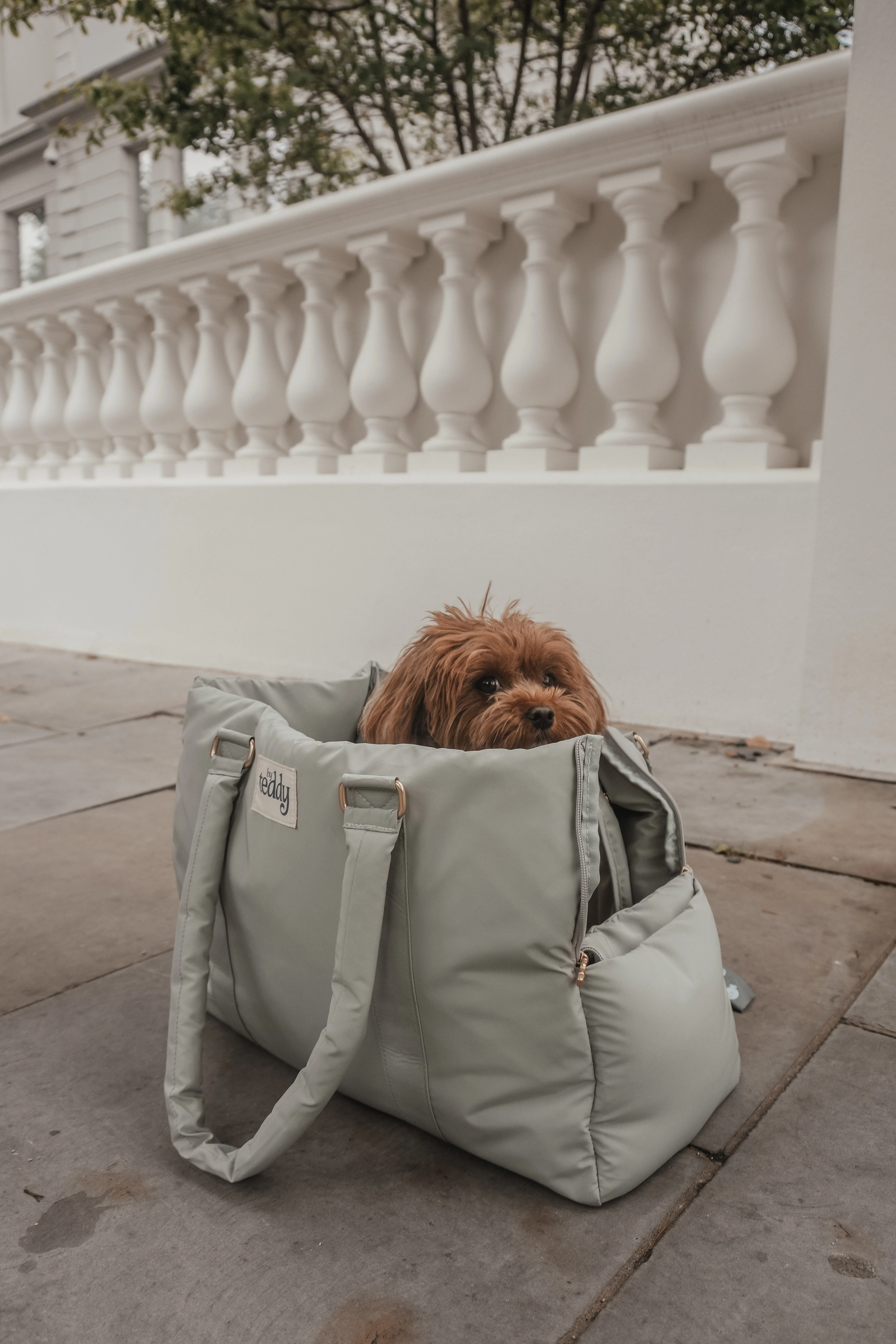 Matcha┃The Puffer Carrier - Image 16