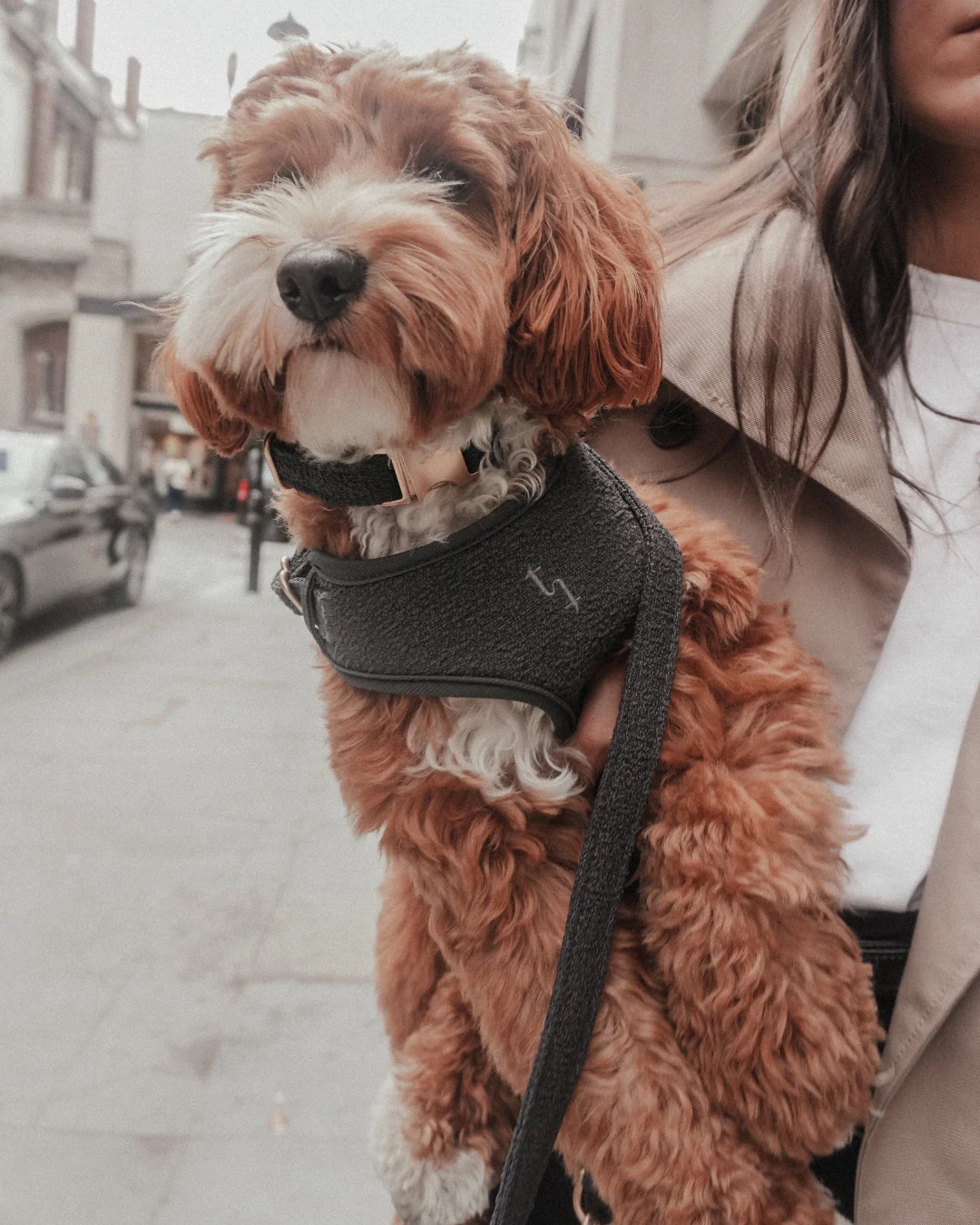 Midnight┃Bouclé Adjustable Harness - Image 7