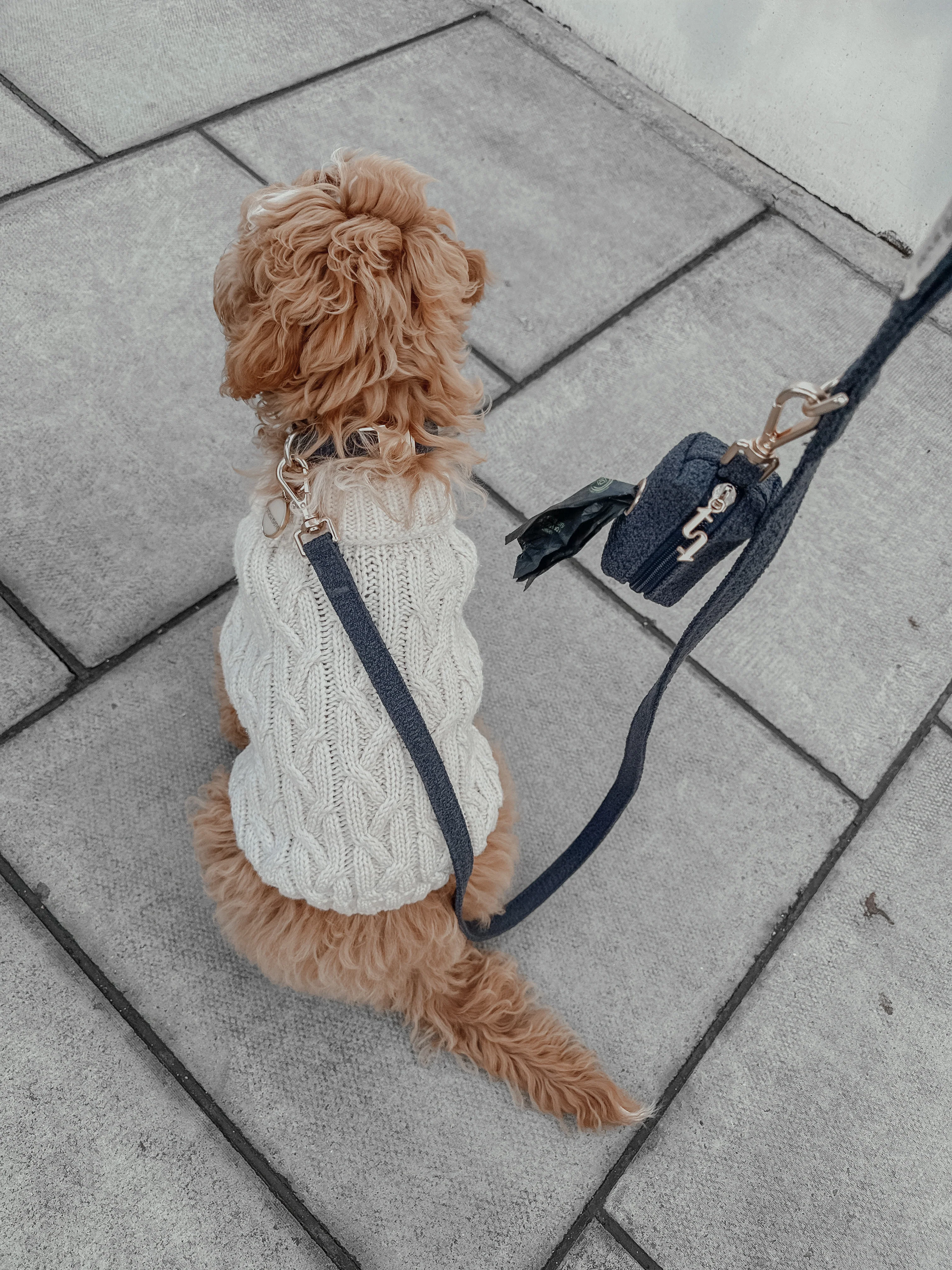 Midnight┃Boucle Collar - Image 3