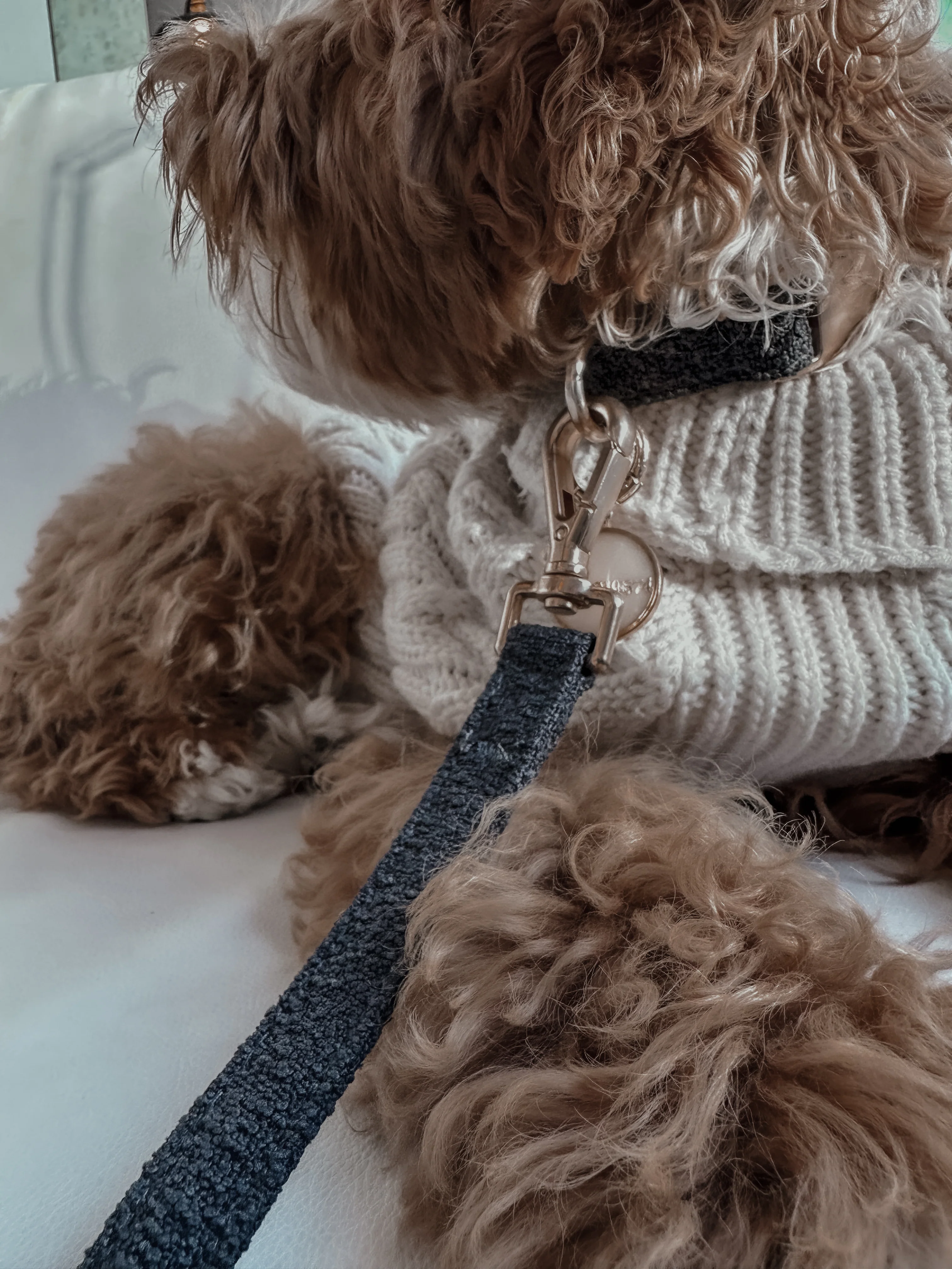 Midnight┃Boucle Collar - Image 4