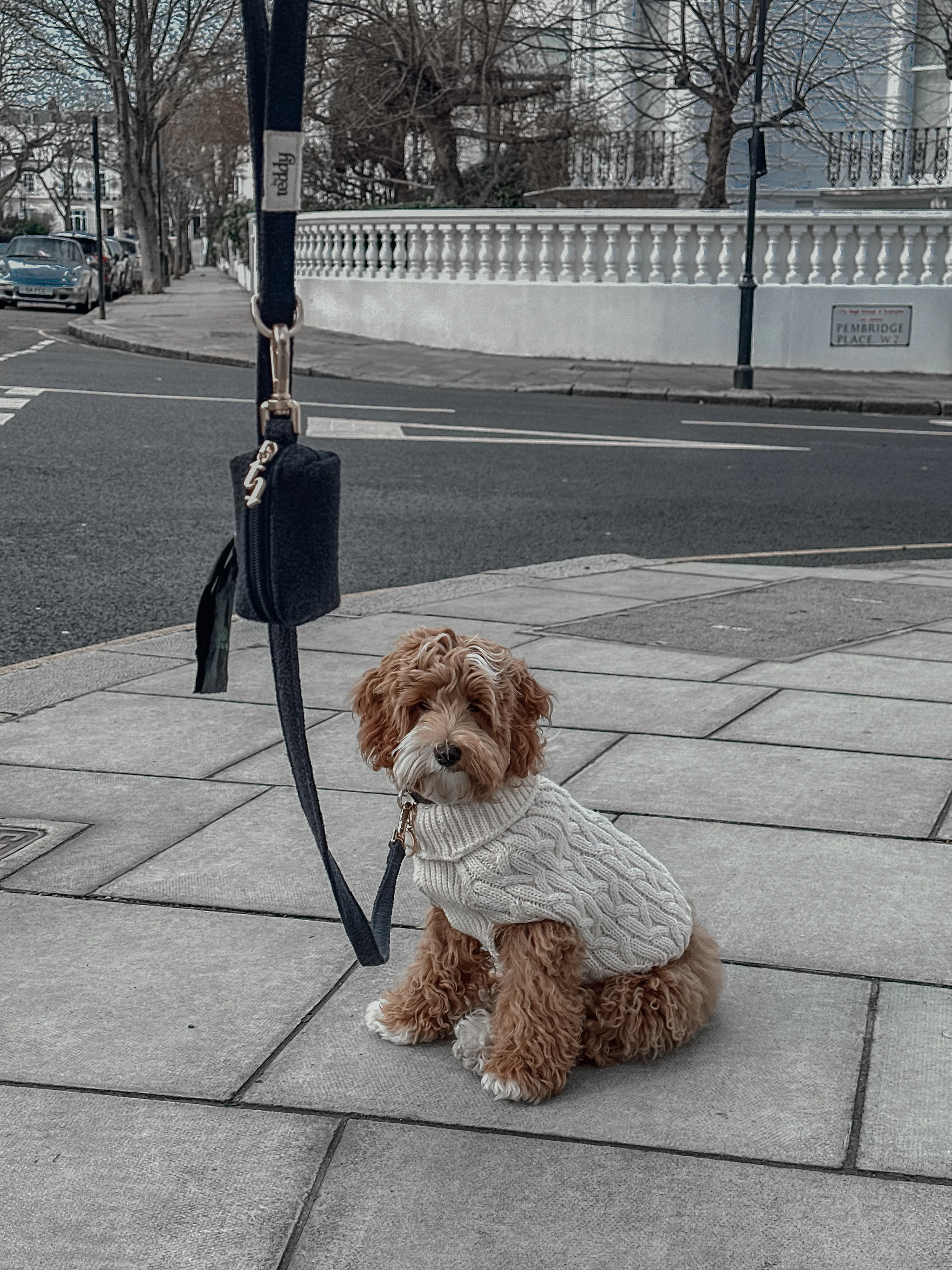 Midnight┃Boucle Poop Bag Holder - Image 7