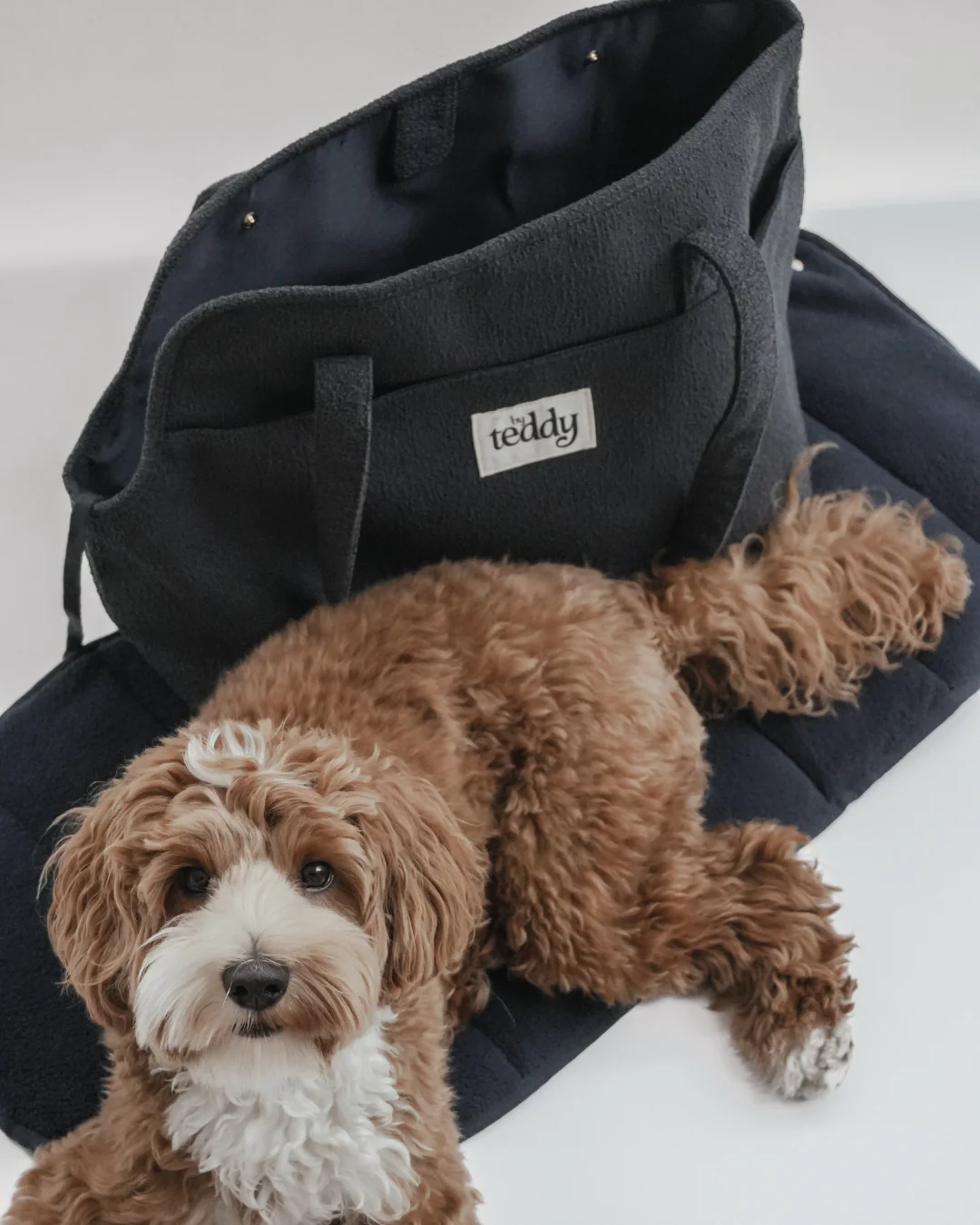 Midnight┃The Bouclé Carrier - Image 10