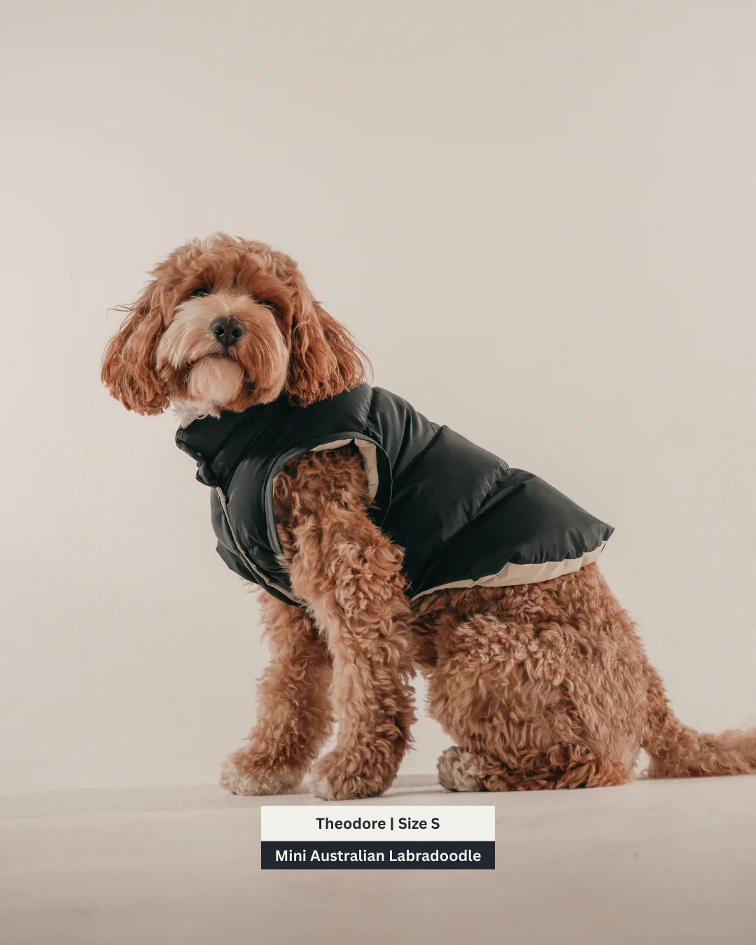 Midnight | The Modular Puffer - Image 11