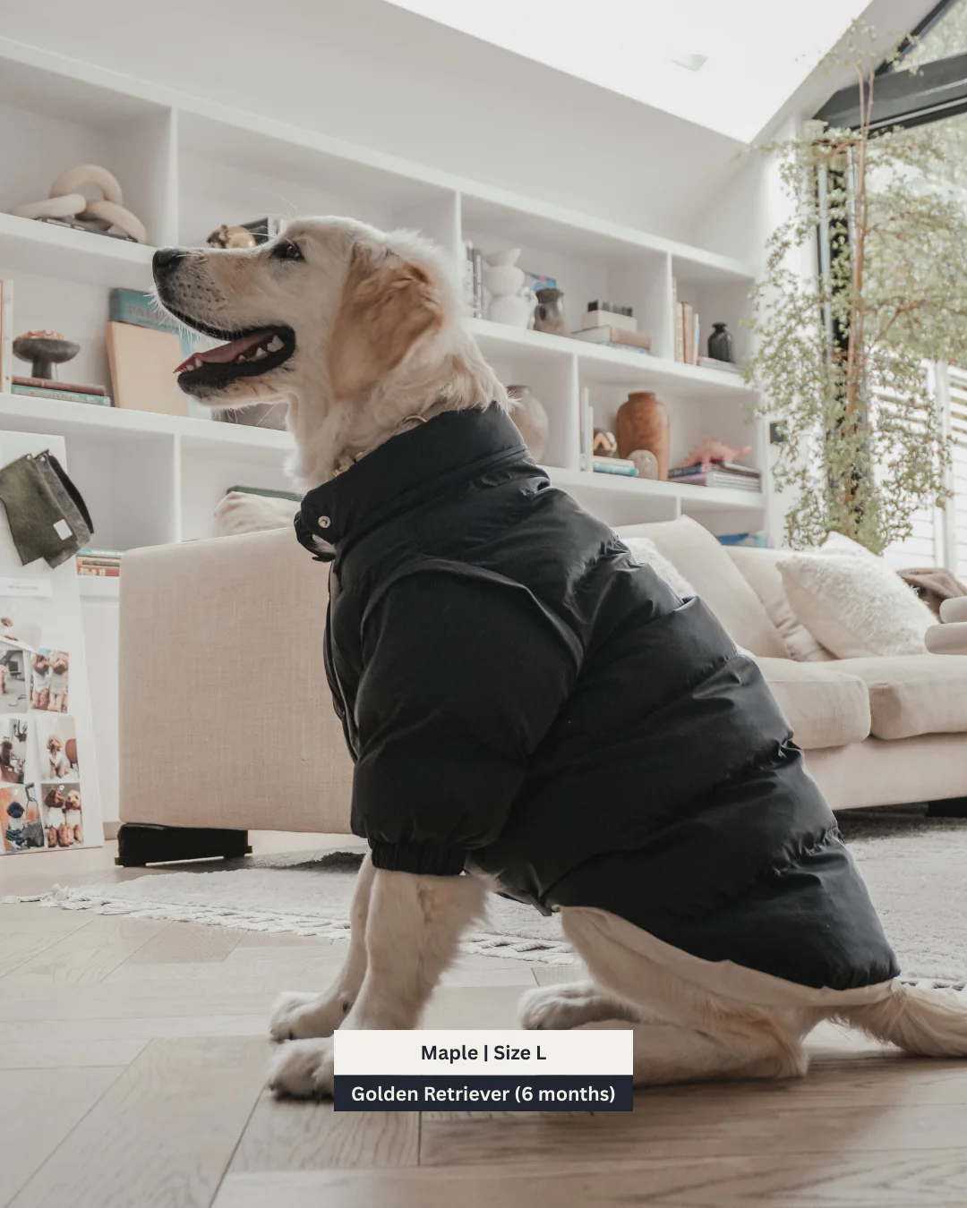 Midnight | The Modular Puffer - Image 12