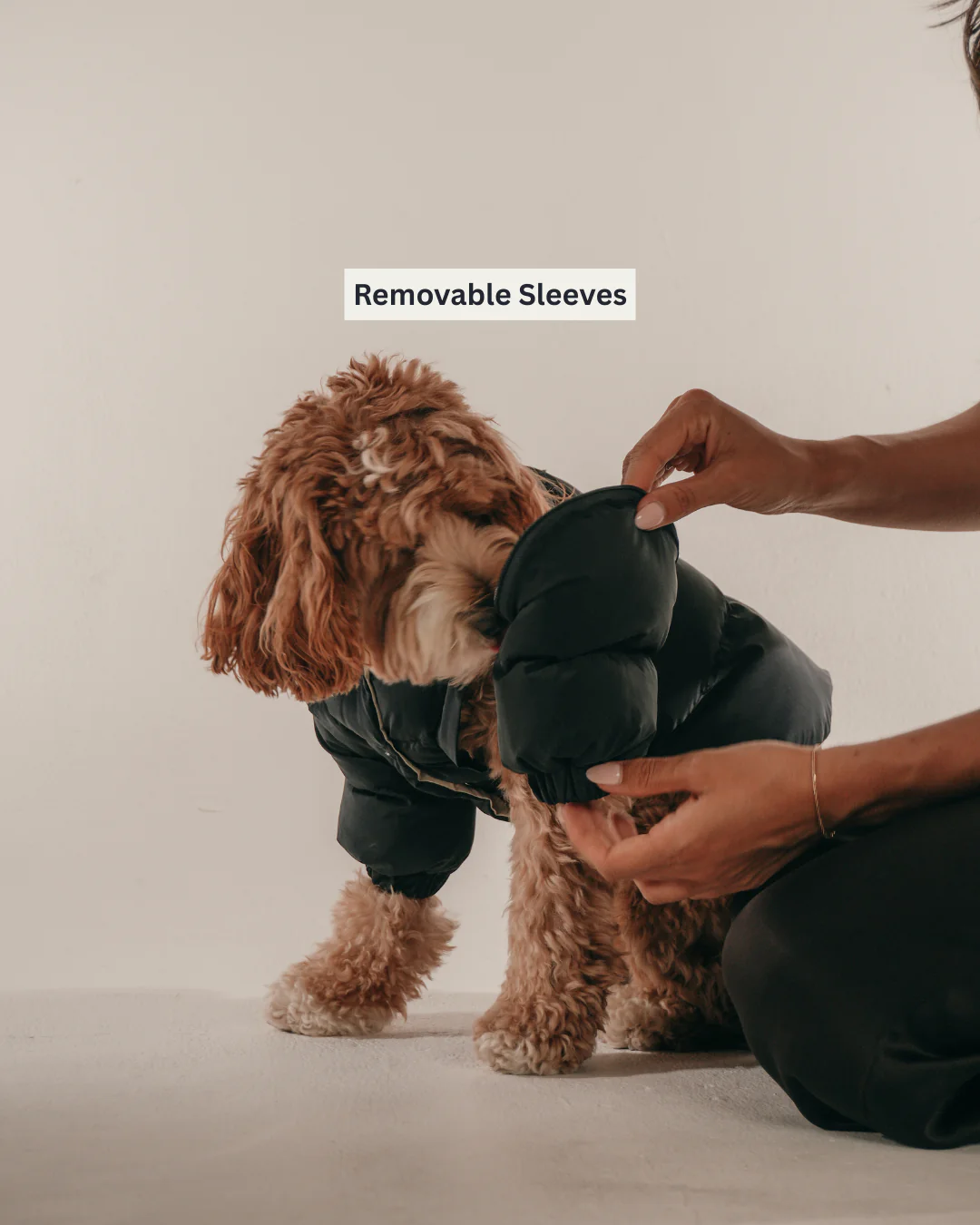 Midnight | The Modular Puffer - Image 4