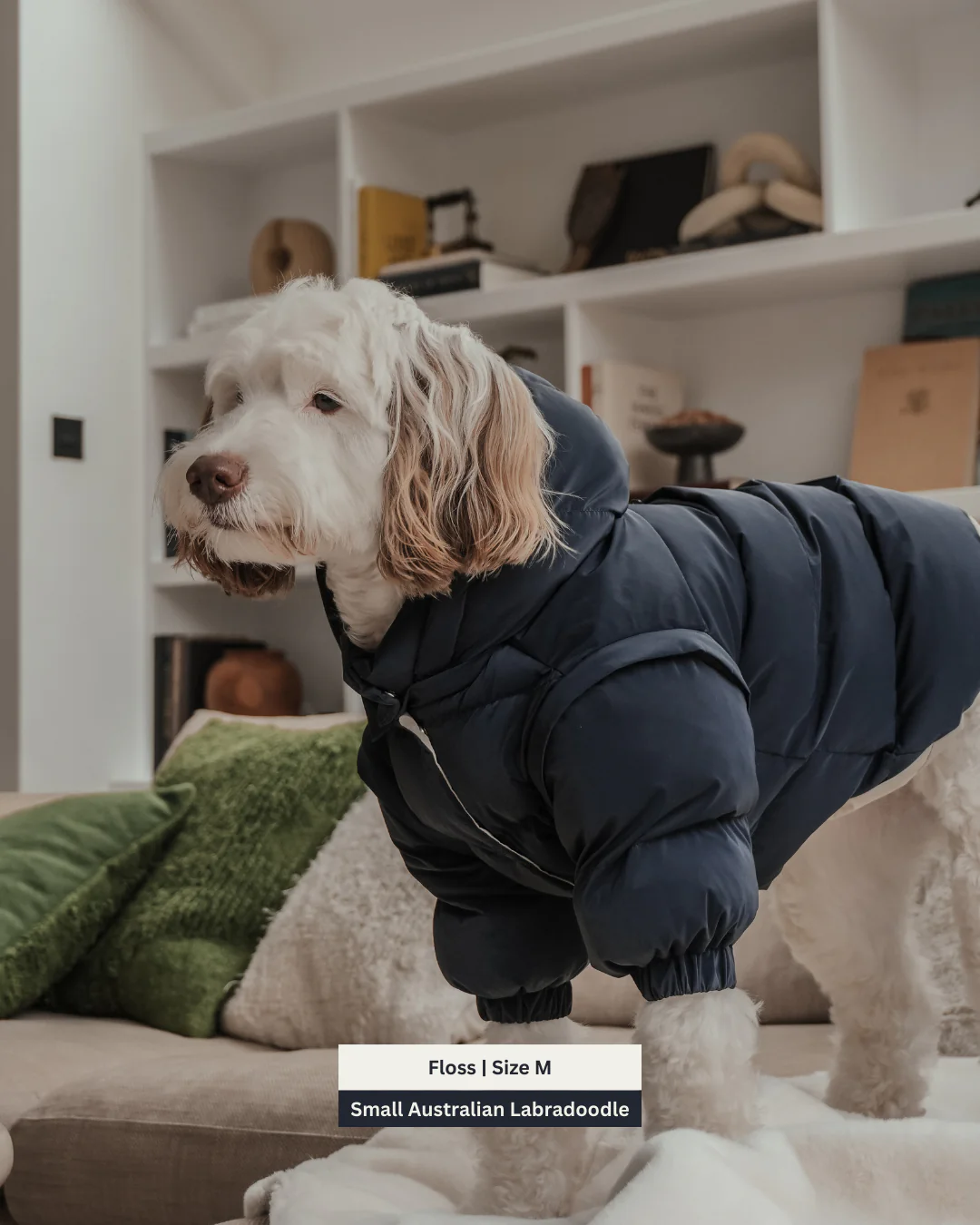 Midnight | The Modular Puffer - Image 5