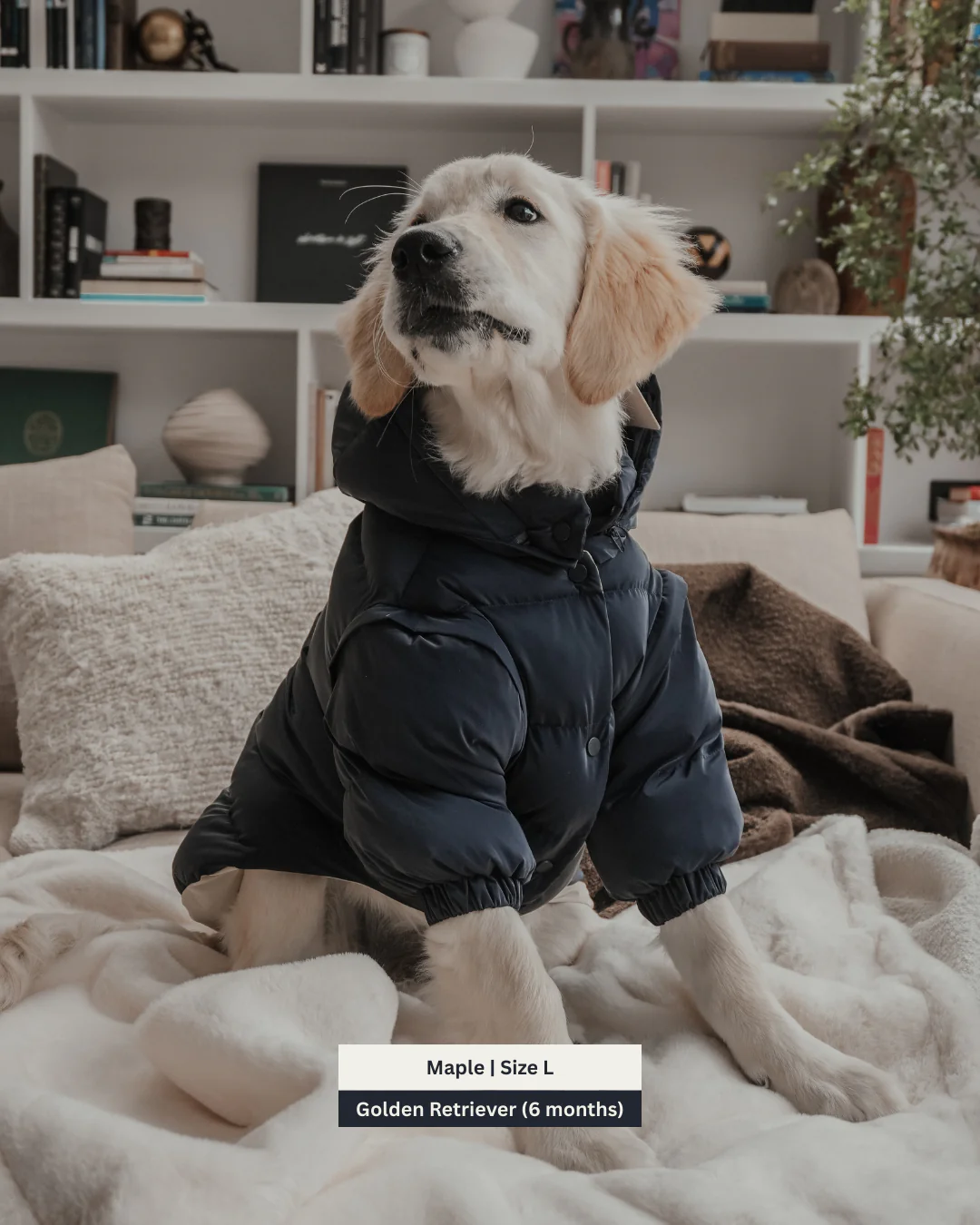 Midnight | The Modular Puffer - Image 6