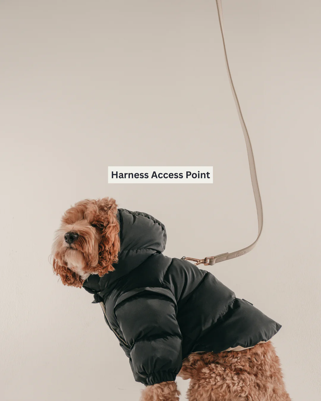 Midnight | The Modular Puffer - Image 7