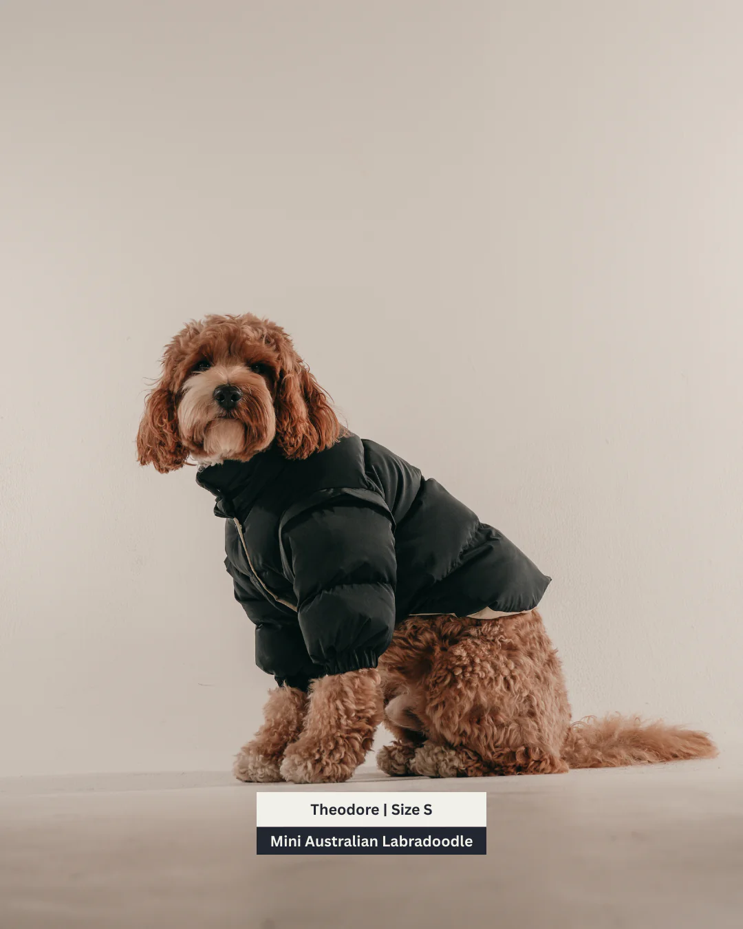 Midnight | The Modular Puffer - Image 8