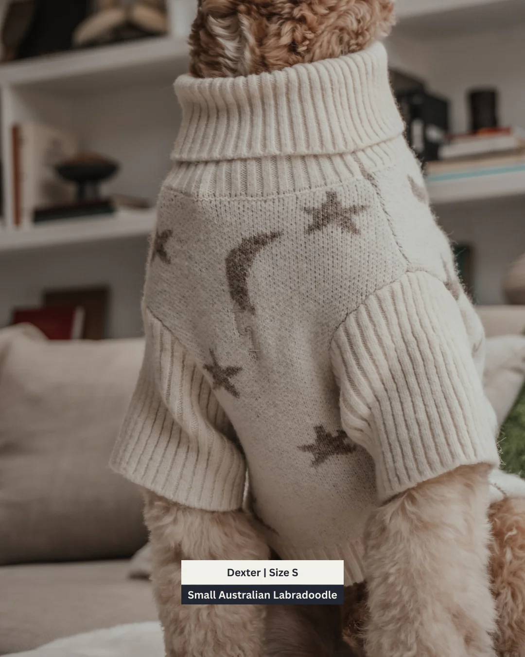 Starry Nights | The Capsule Roll Neck Knit - Image 11