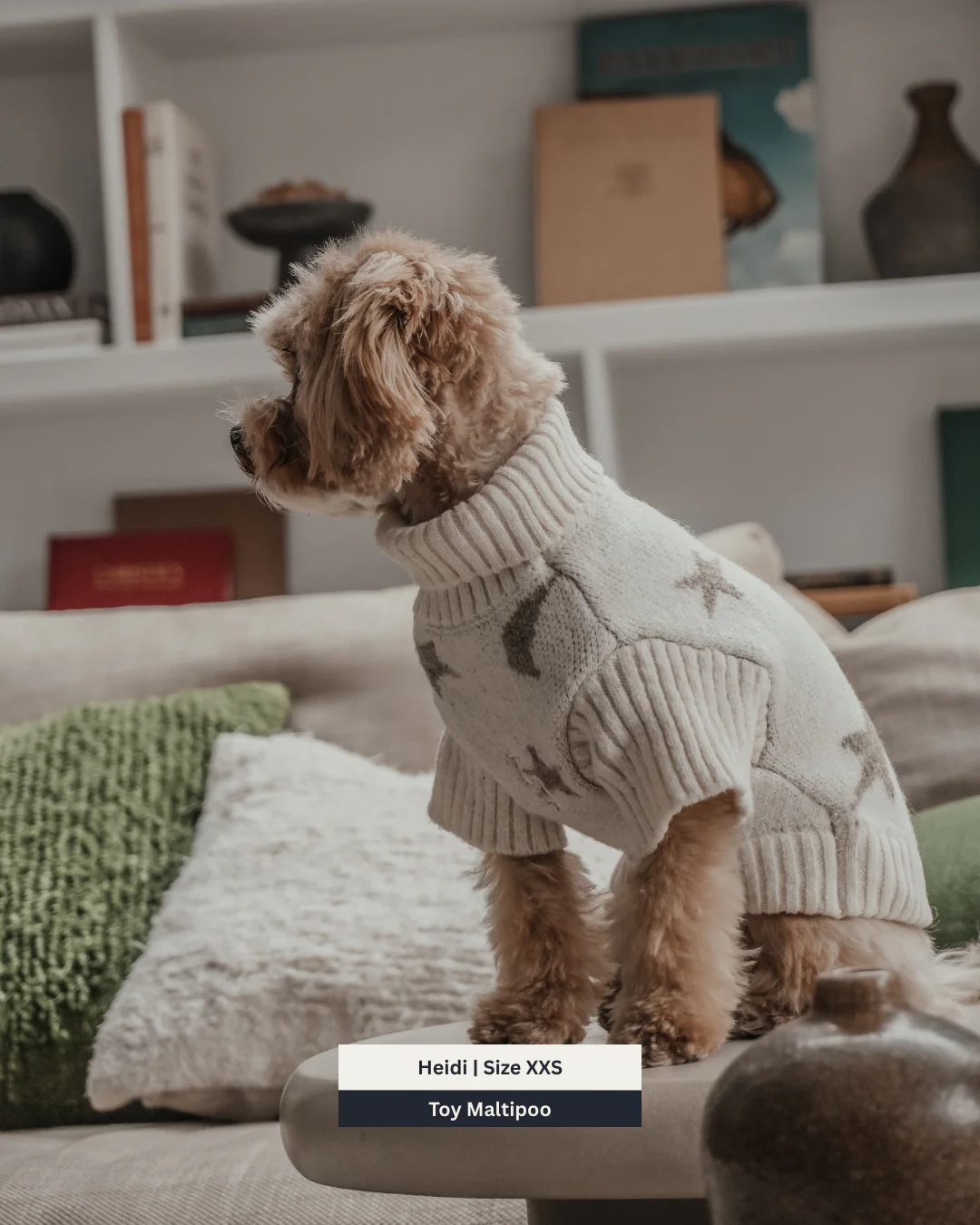 Starry Nights | The Capsule Roll Neck Knit - Image 13