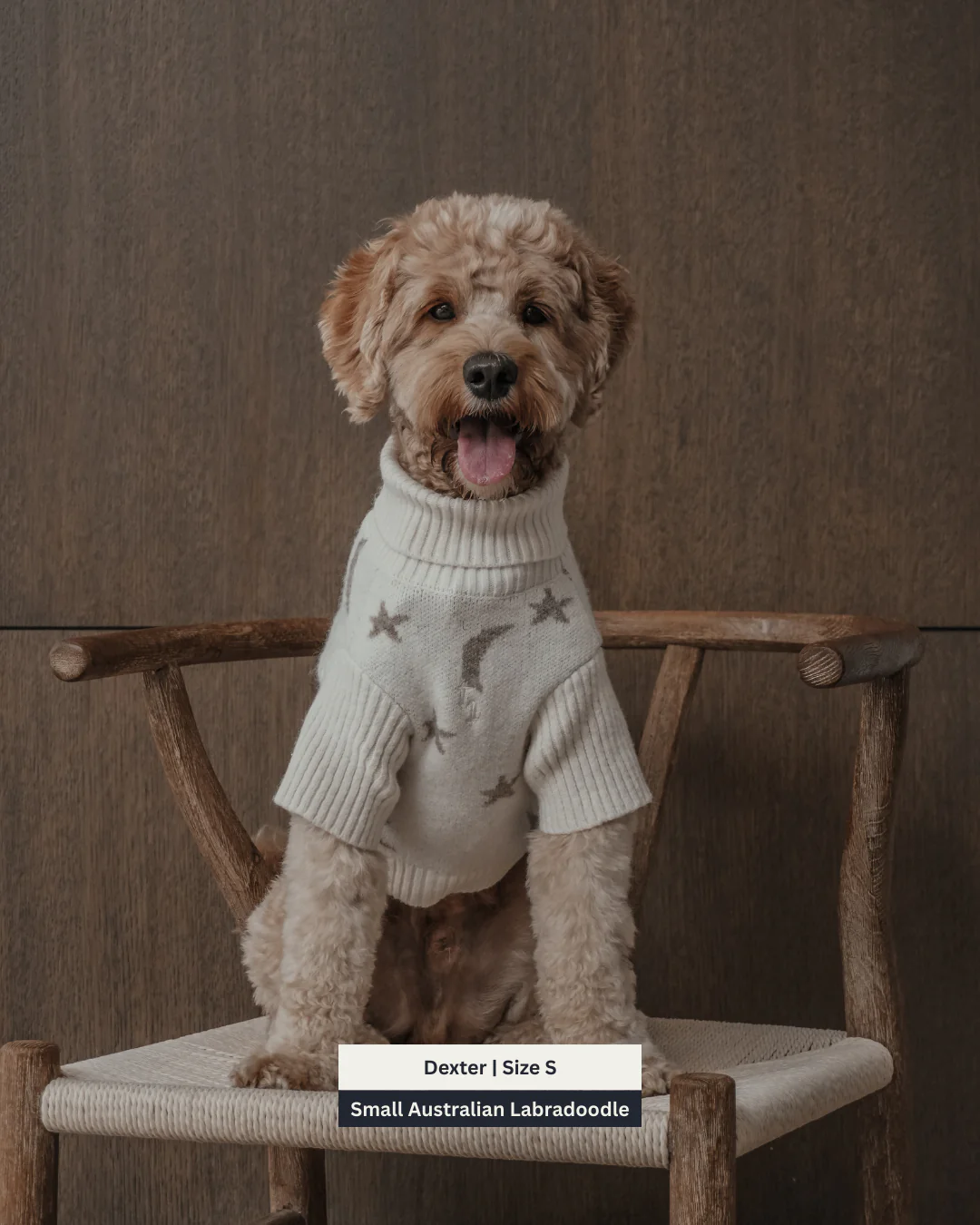 Starry Nights | The Capsule Roll Neck Knit - Image 14