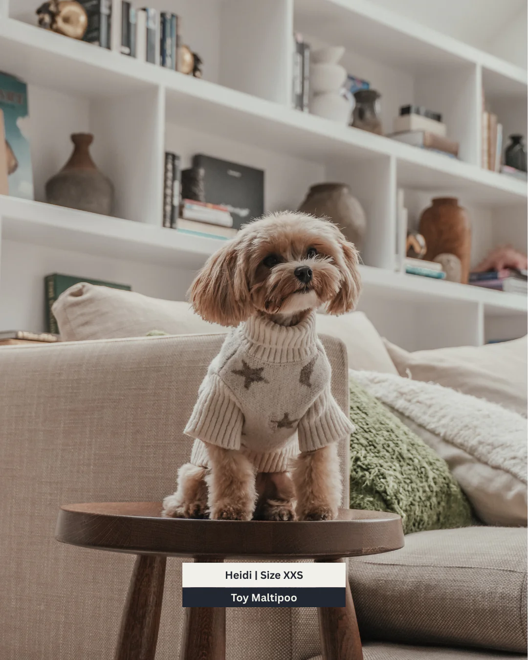 Starry Nights | The Capsule Roll Neck Knit - Image 15