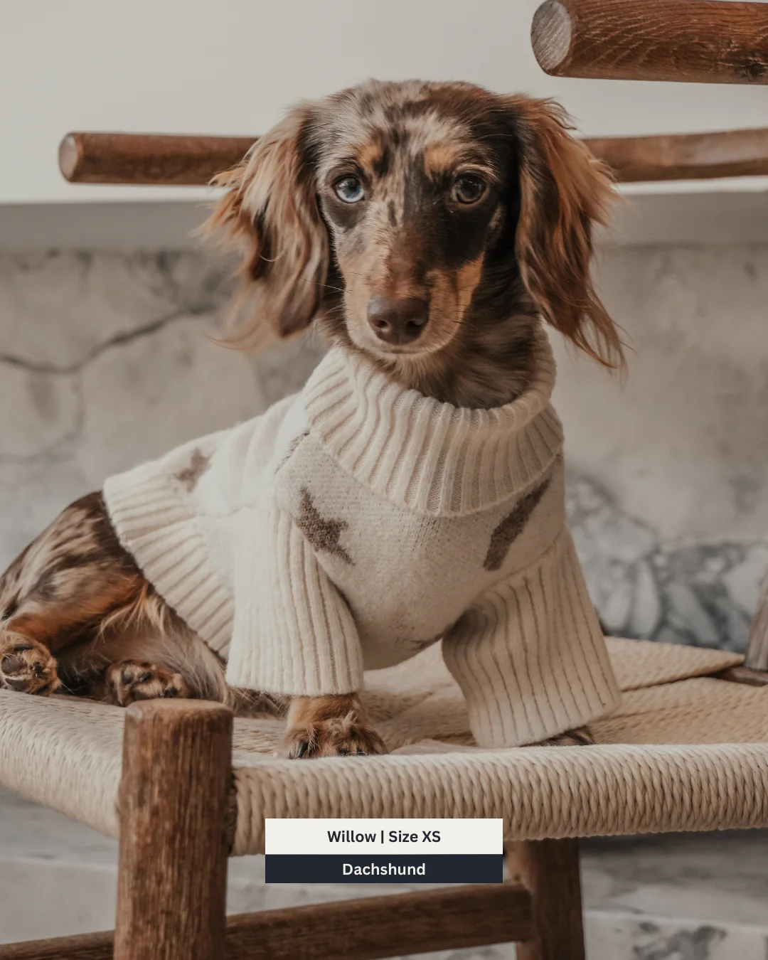 Starry Nights | The Capsule Roll Neck Knit - Image 3