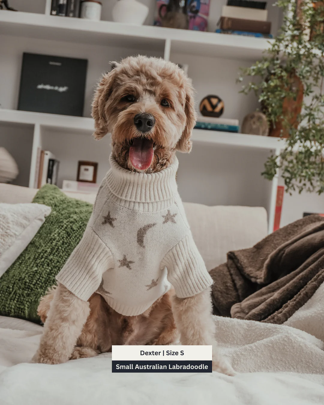 Starry Nights | The Capsule Roll Neck Knit - Image 5