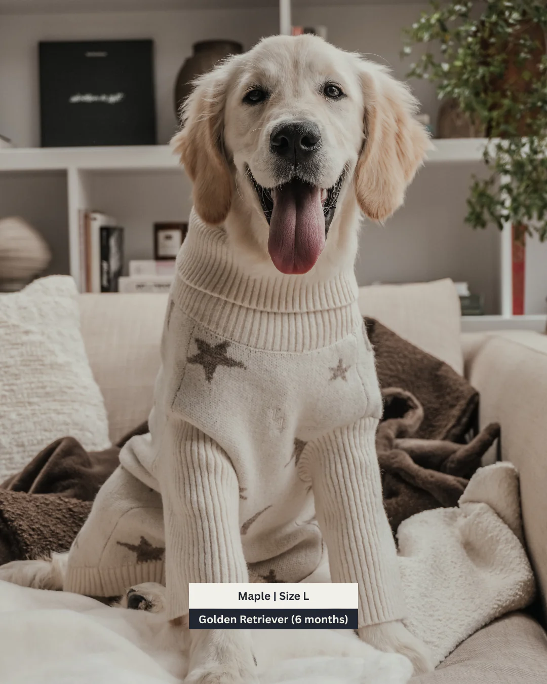 Starry Nights | The Capsule Roll Neck Knit - Image 6