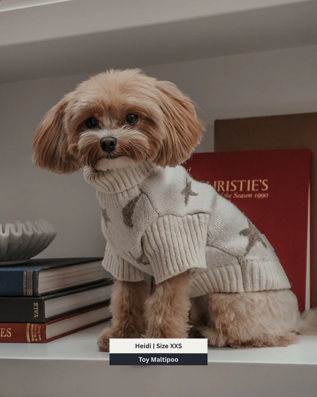 Starry Nights | The Capsule Roll Neck Knit - Image 7