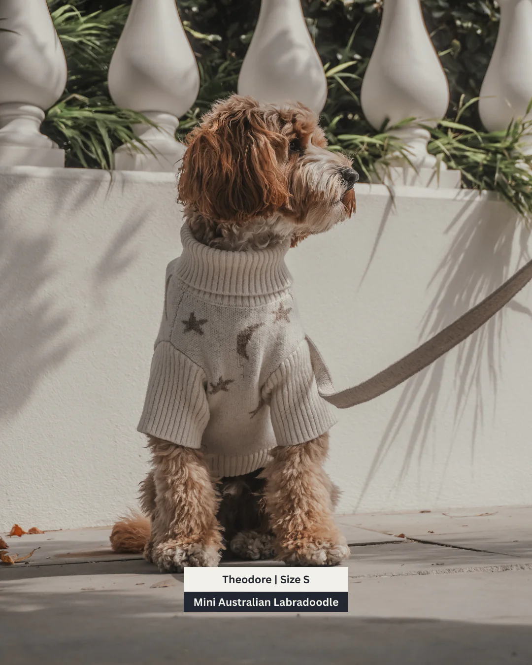 Starry Nights | The Capsule Roll Neck Knit - Image 9