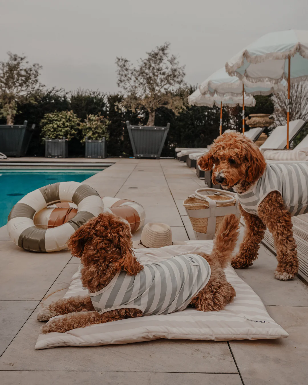 Summer Breeze Cooling Mat - Image 14