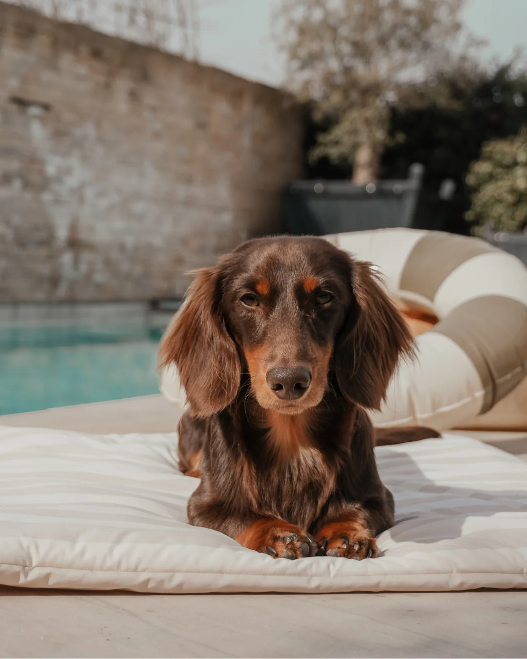 Summer Breeze Cooling Mat - Image 5