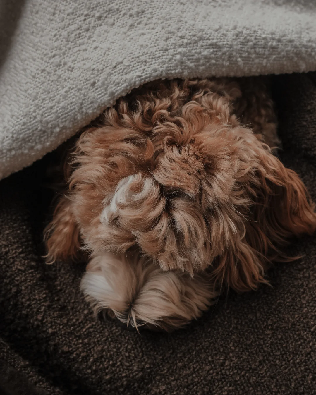 The Bouclé Blanket - Image 4