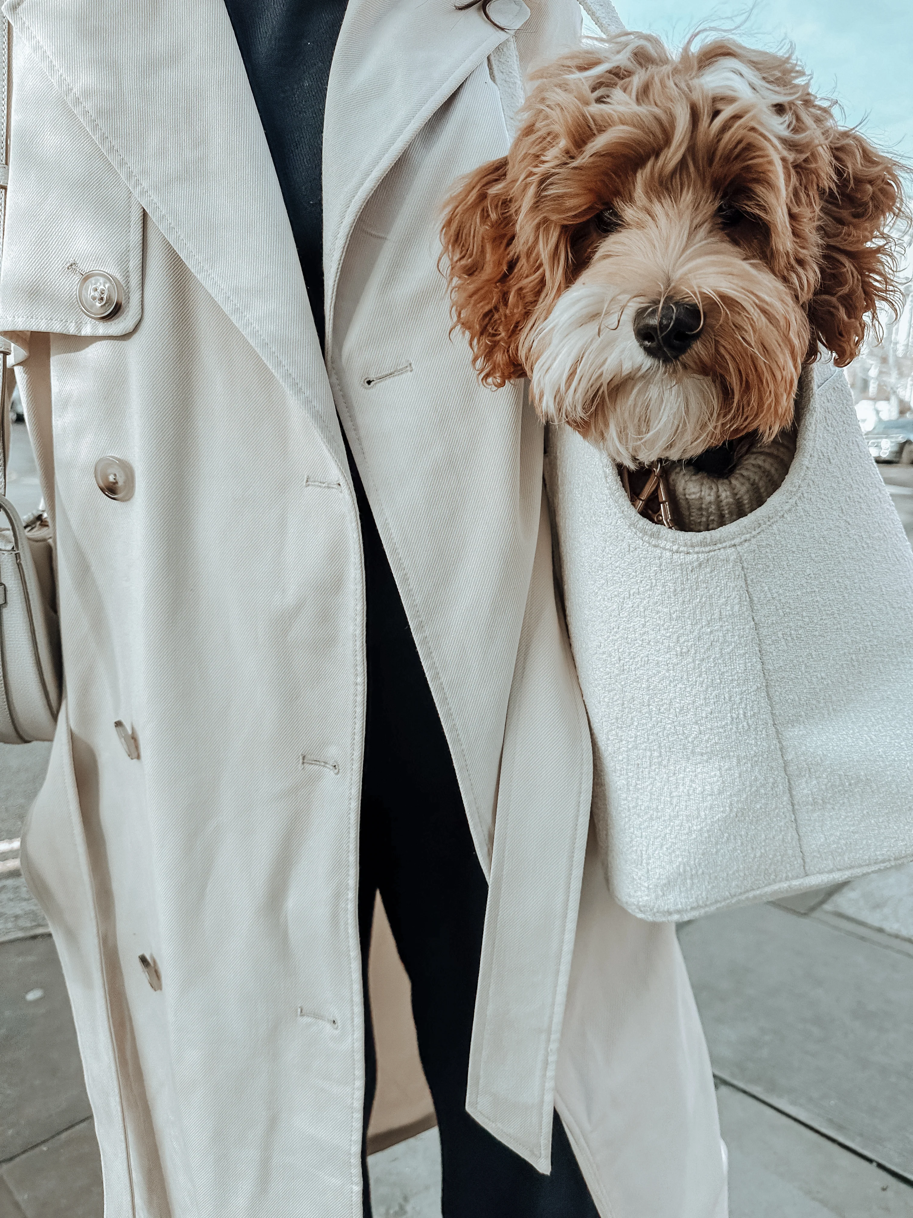 Marshmallow┃The Bouclé Carrier - Image 11