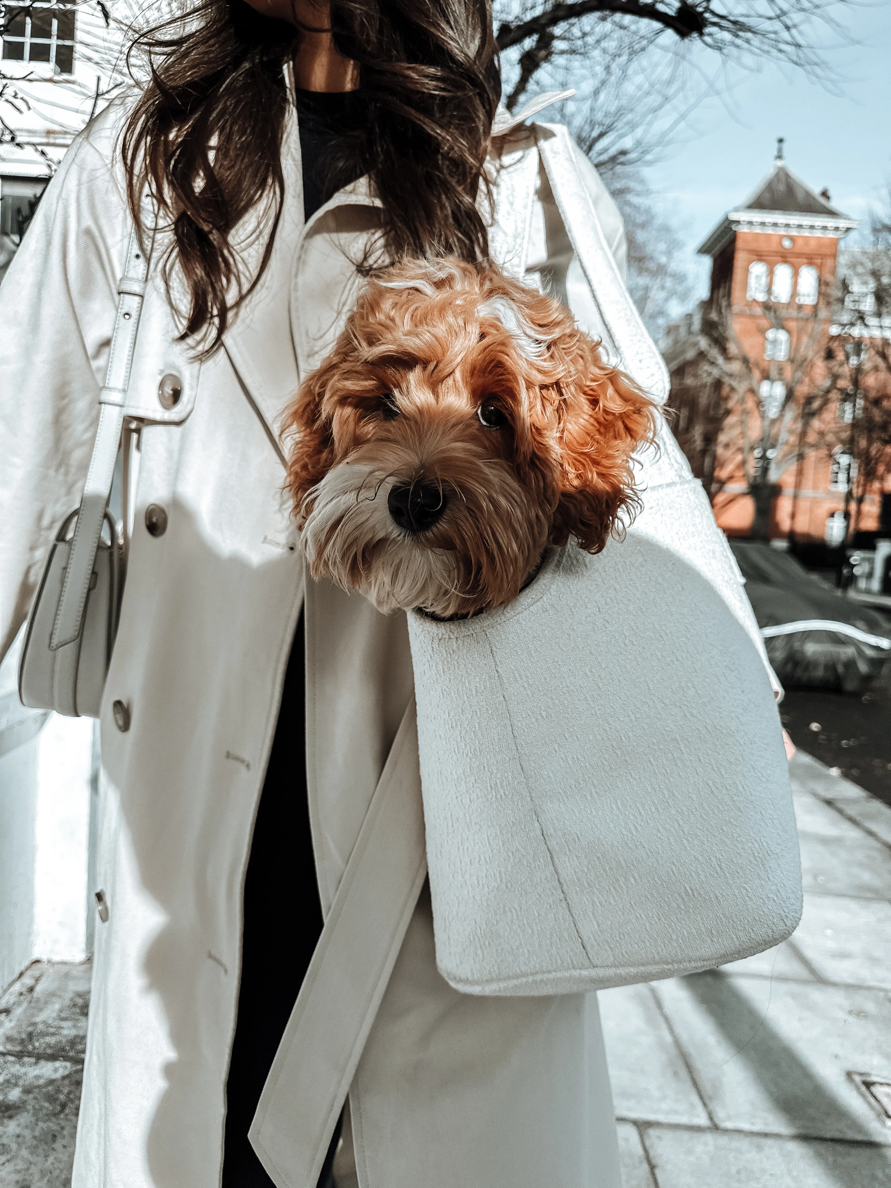 Marshmallow┃The Bouclé Carrier - Image 13