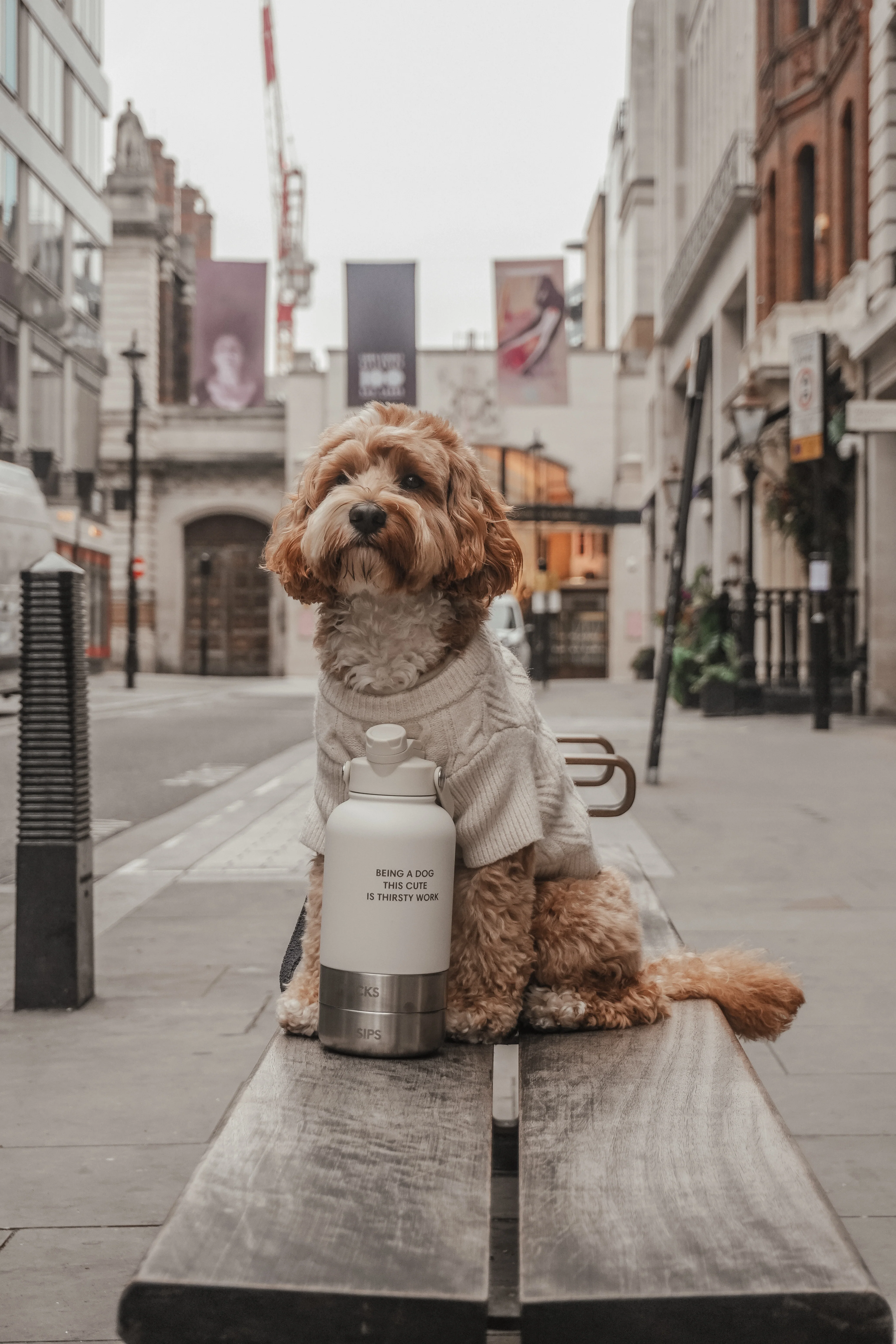 The Bowl Bottle 2.0 | 3-in-1 Travel Bottle - Image 11